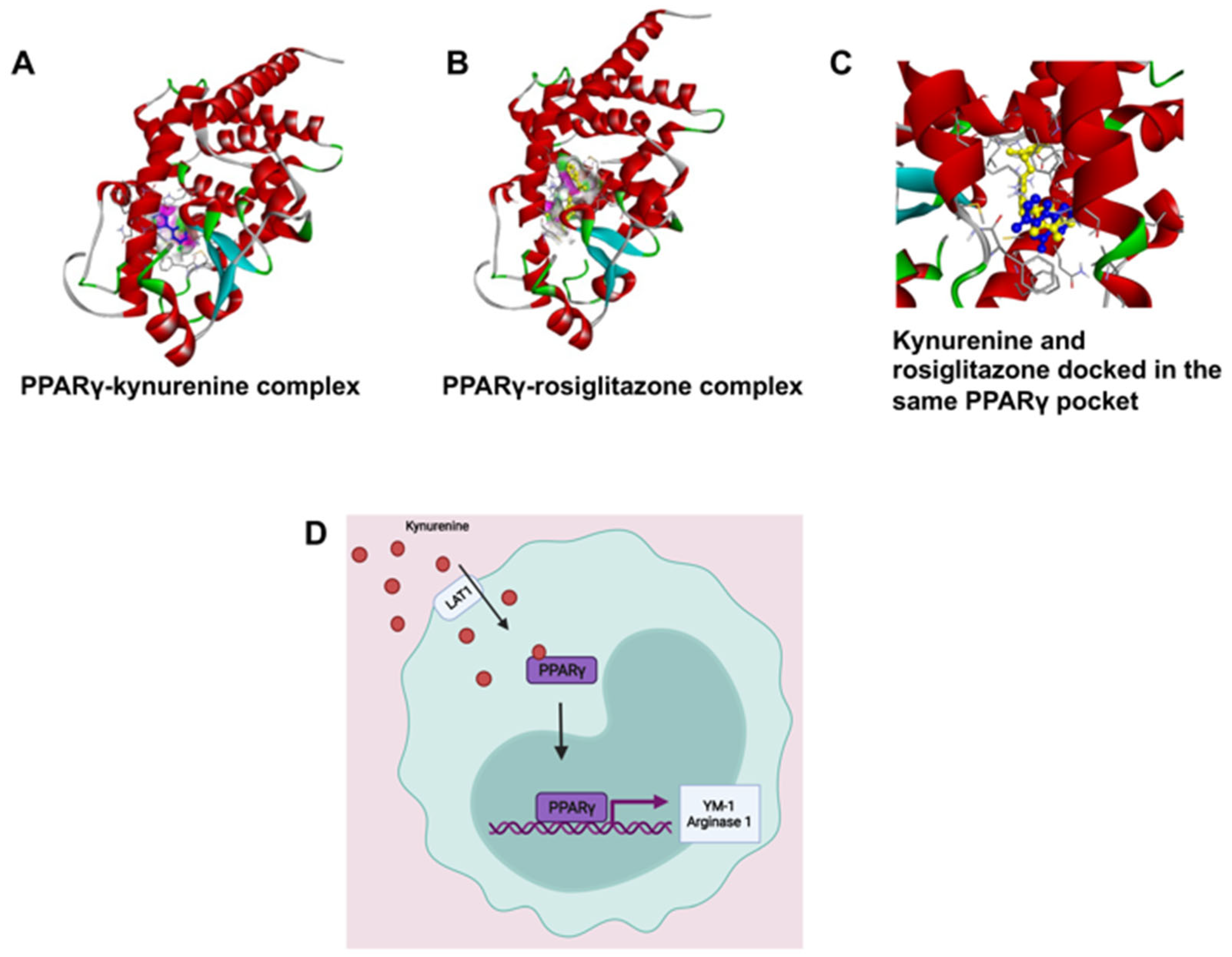 Biomedicines 10 01999 g007