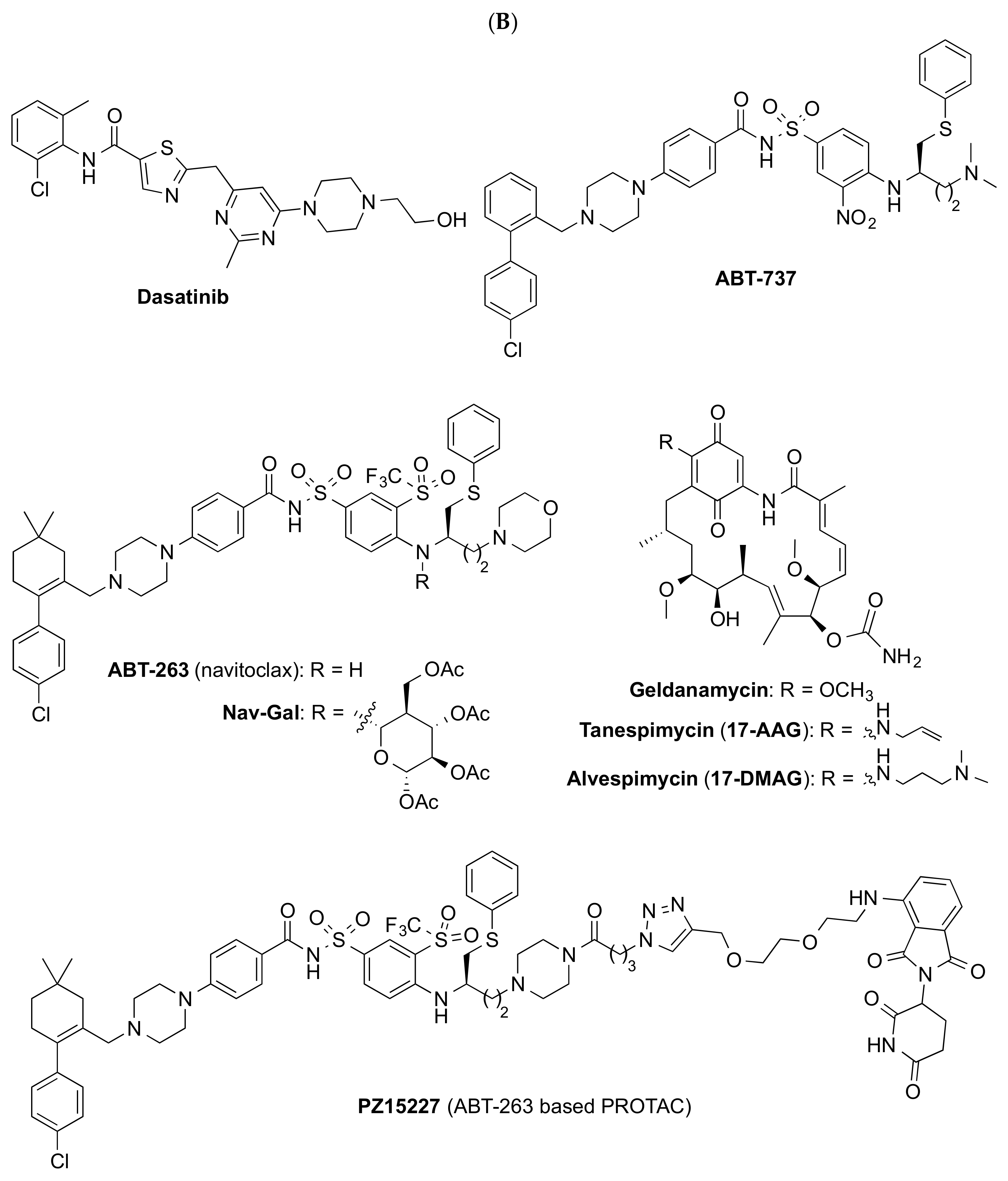 Biomedicines 10 02006 g002b Biomedicines 10 02006 g002b