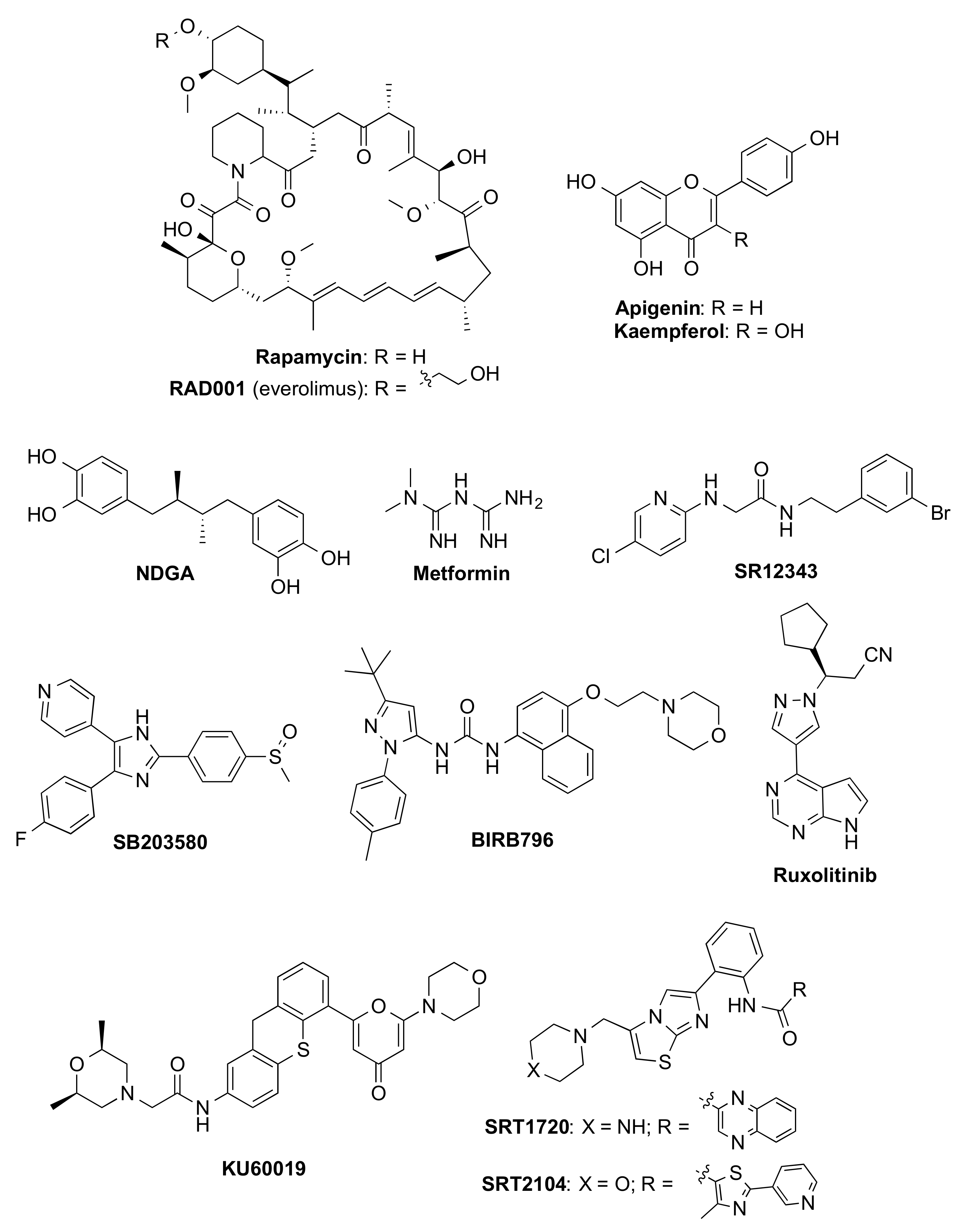 Biomedicines 10 02006 g003 Biomedicines 10 02006 g003