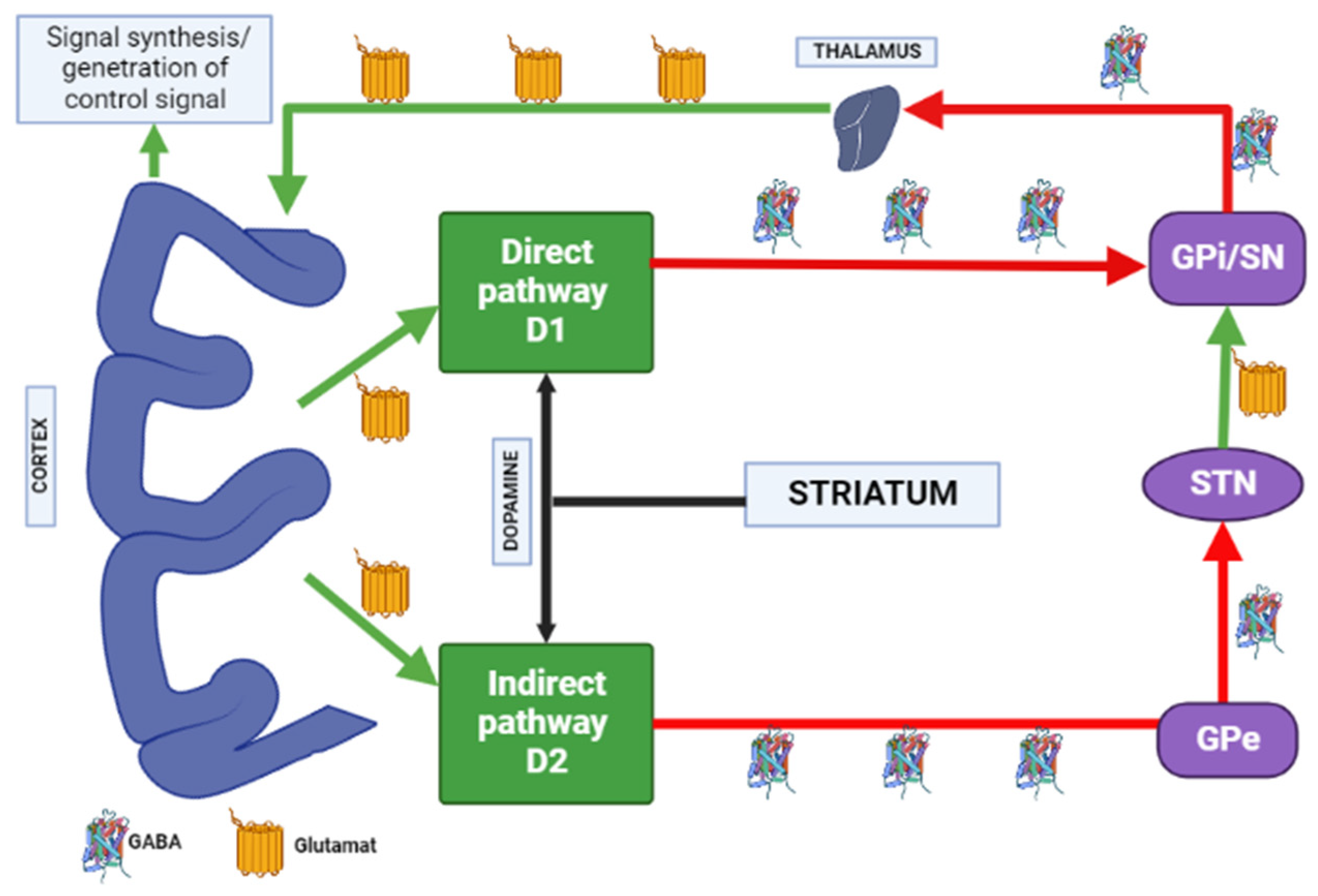 Biomedicines 10 02010 g004 Biomedicines 10 02010 g004