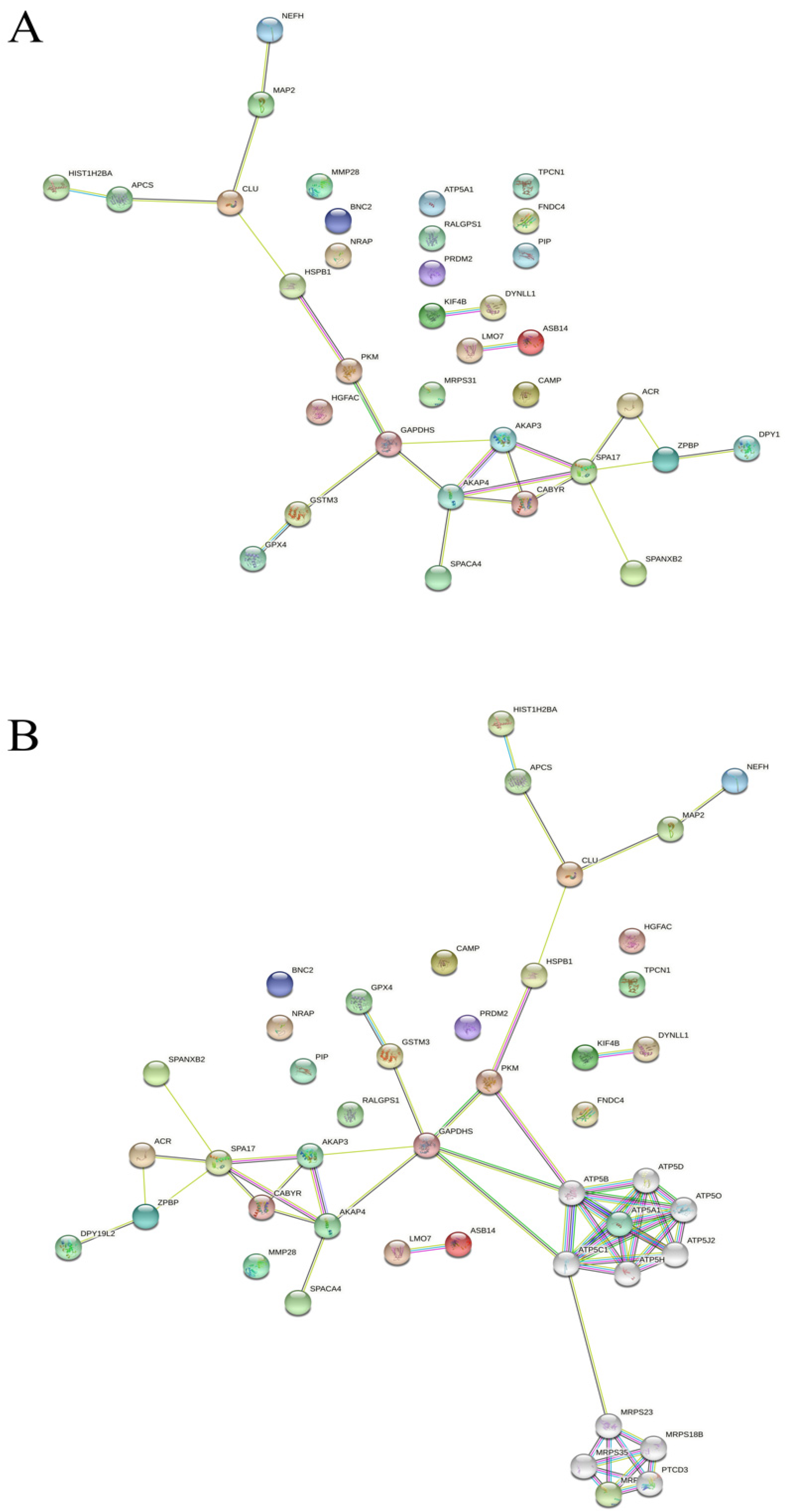 Biomedicines 10 02014 g002