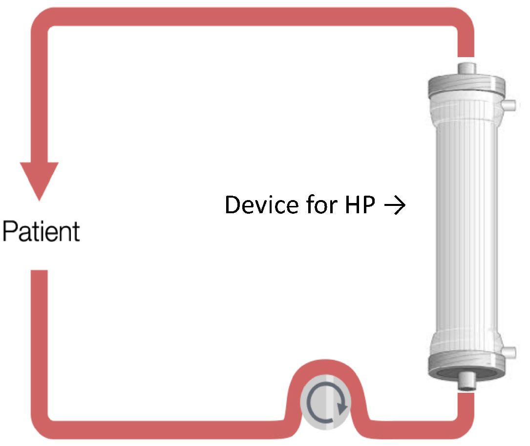 Biomedicines 10 02017 g001