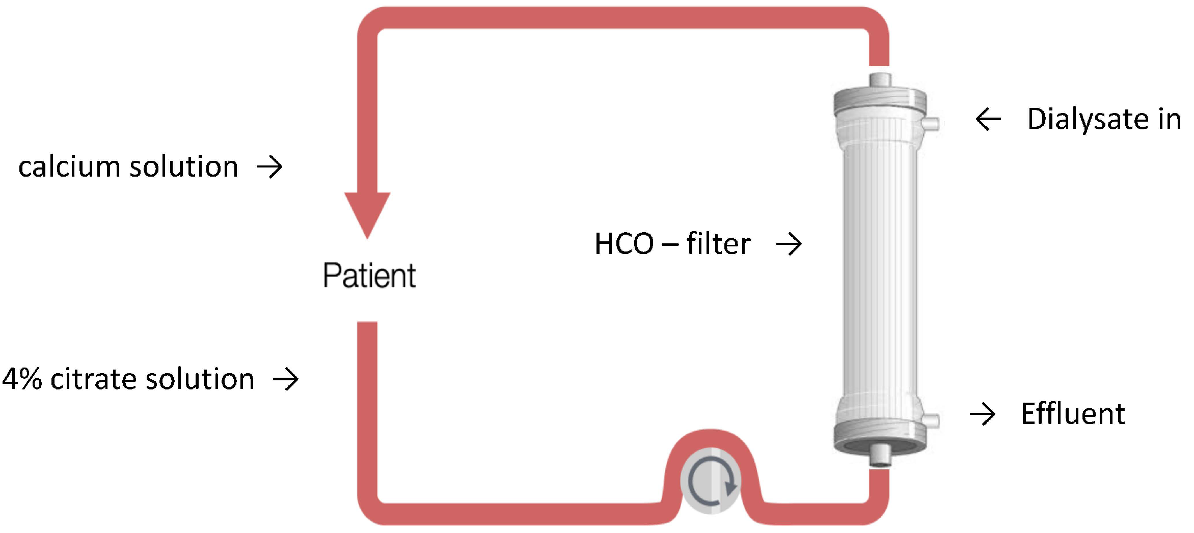 Biomedicines 10 02017 g002