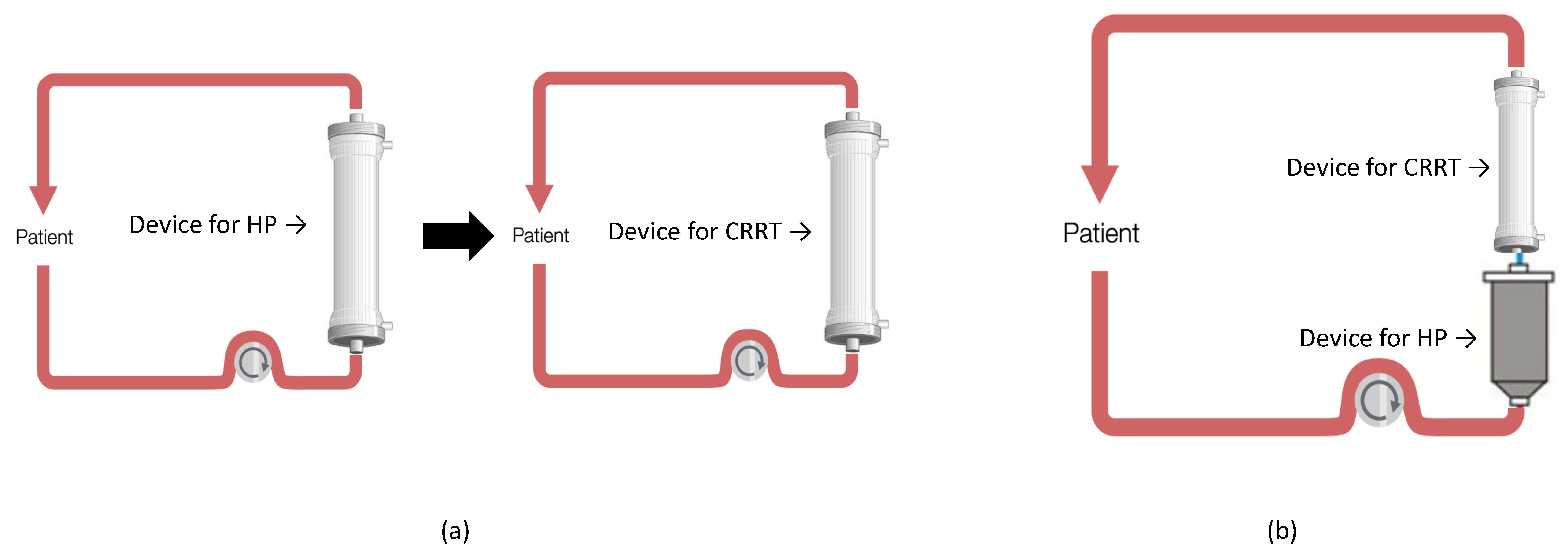 Biomedicines 10 02017 g003