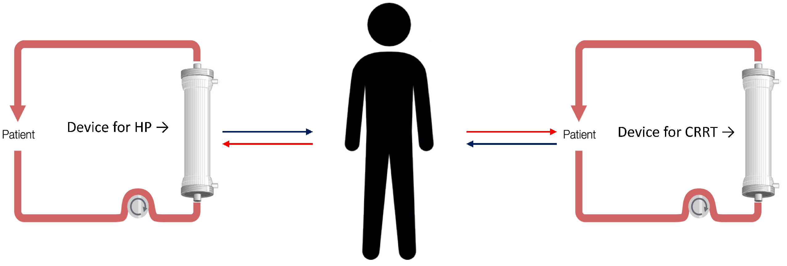 Biomedicines 10 02017 g004