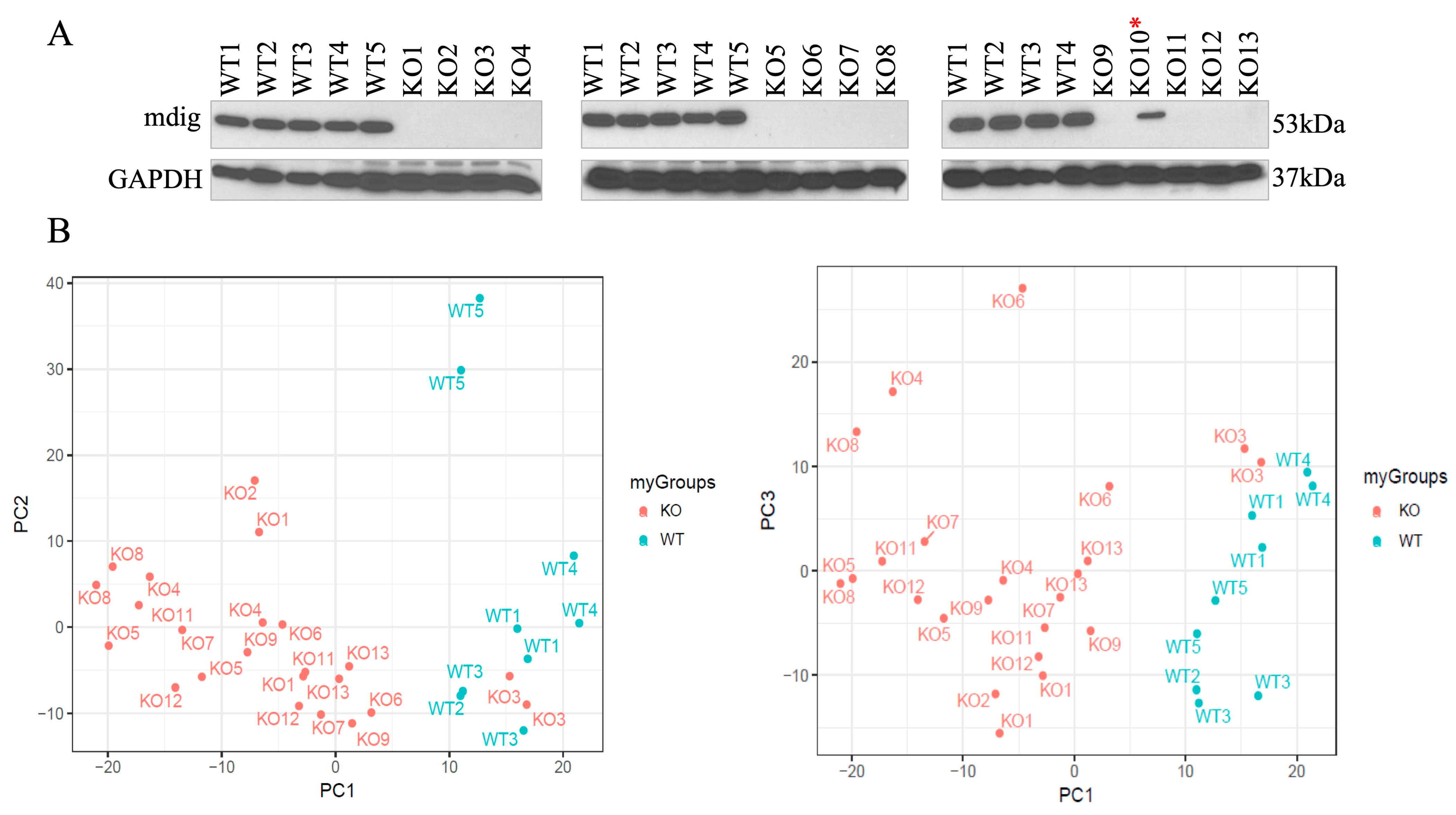 Biomedicines 10 02021 g001 Biomedicines 10 02021 g001
