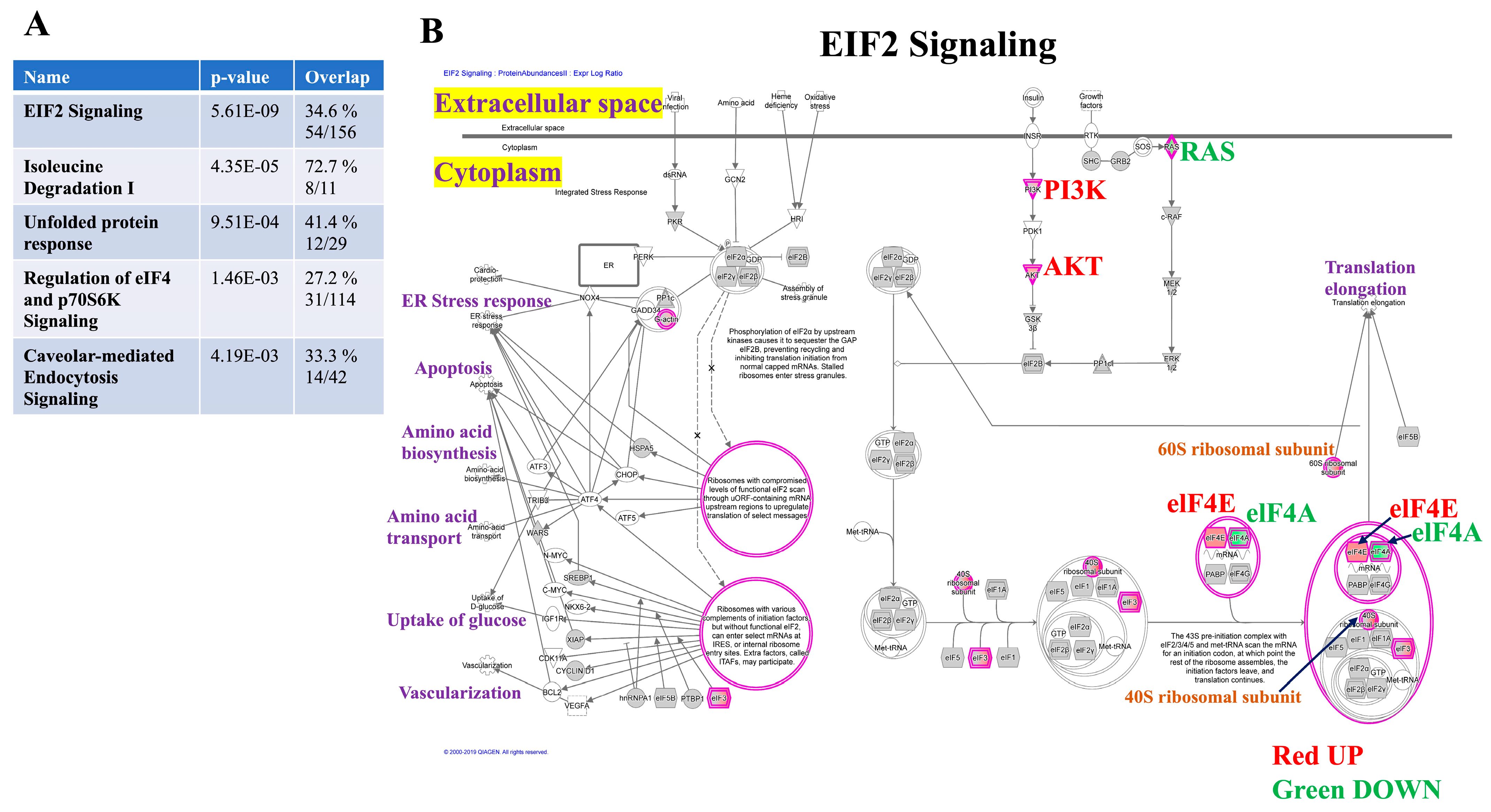Biomedicines 10 02021 g003 Biomedicines 10 02021 g003