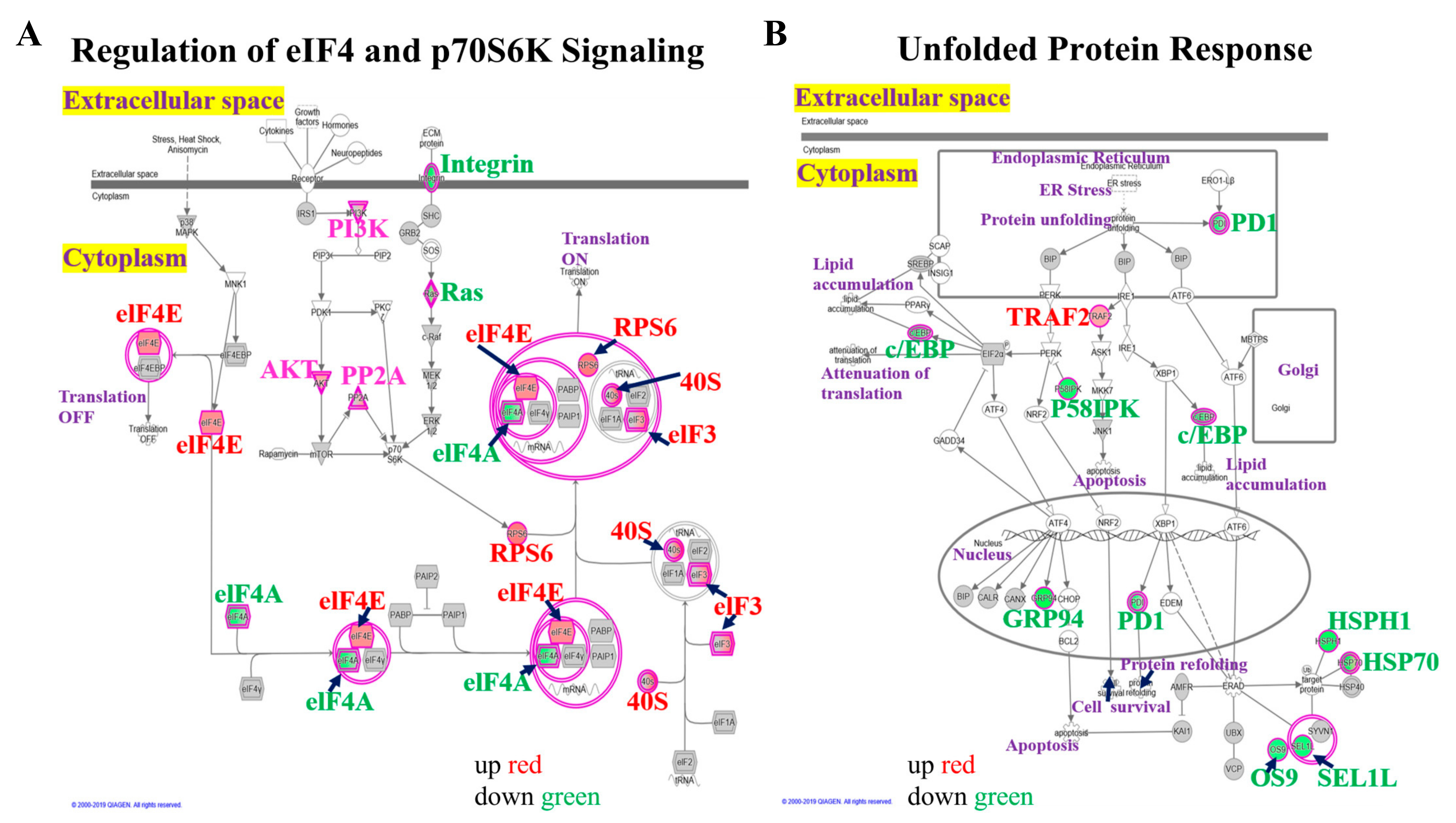 Biomedicines 10 02021 g004 Biomedicines 10 02021 g004