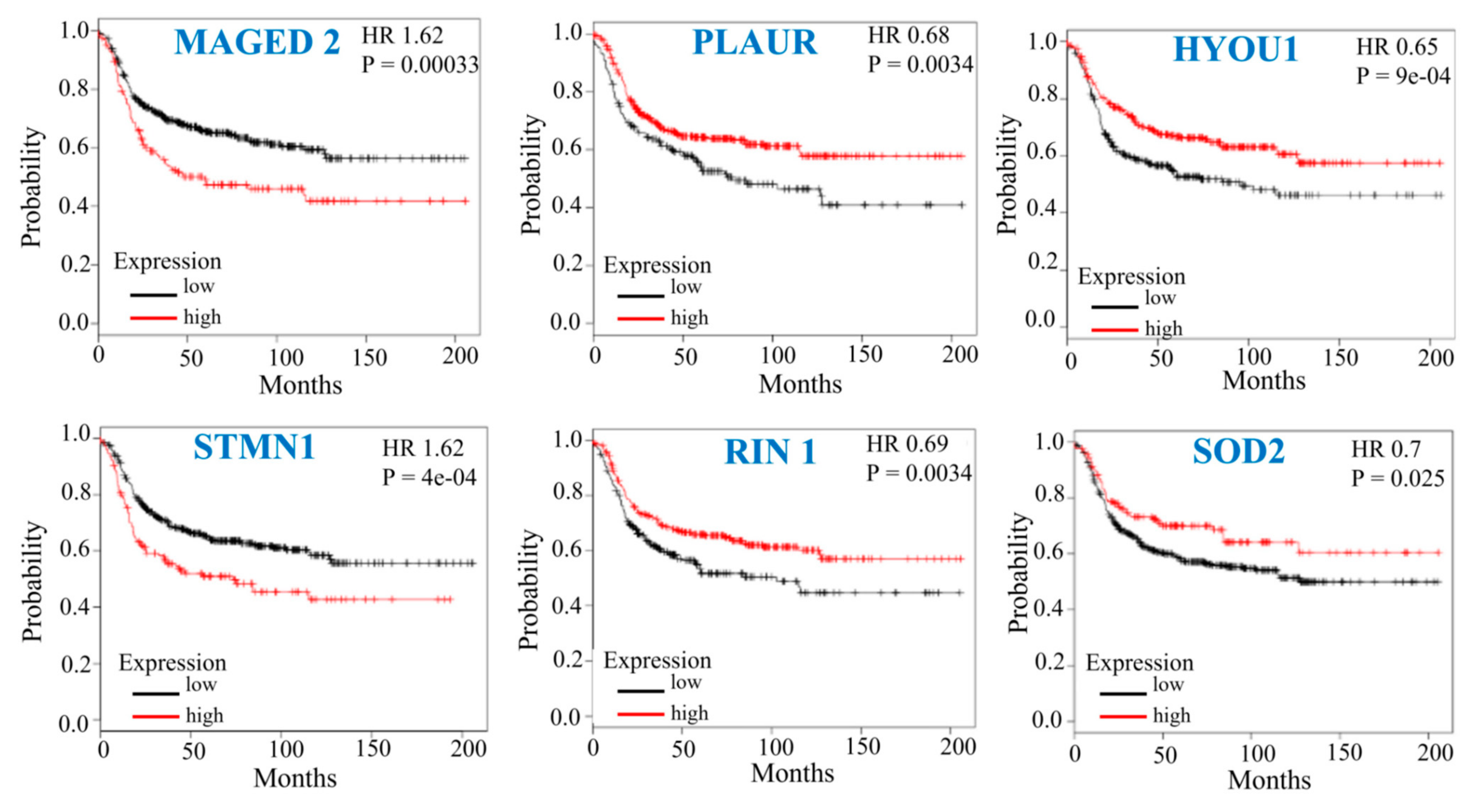 Biomedicines 10 02021 g006 Biomedicines 10 02021 g006