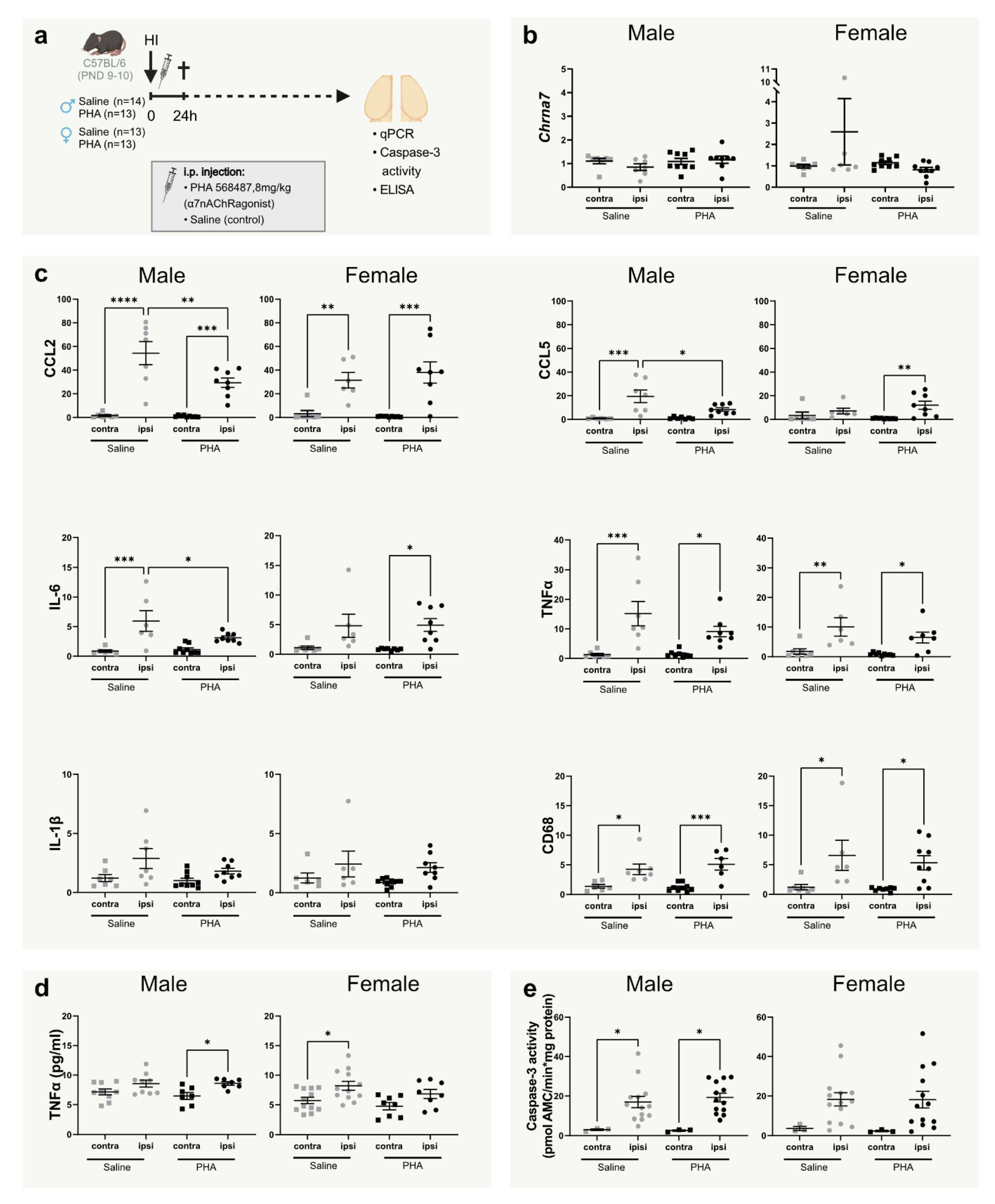 Biomedicines 10 02023 g001
