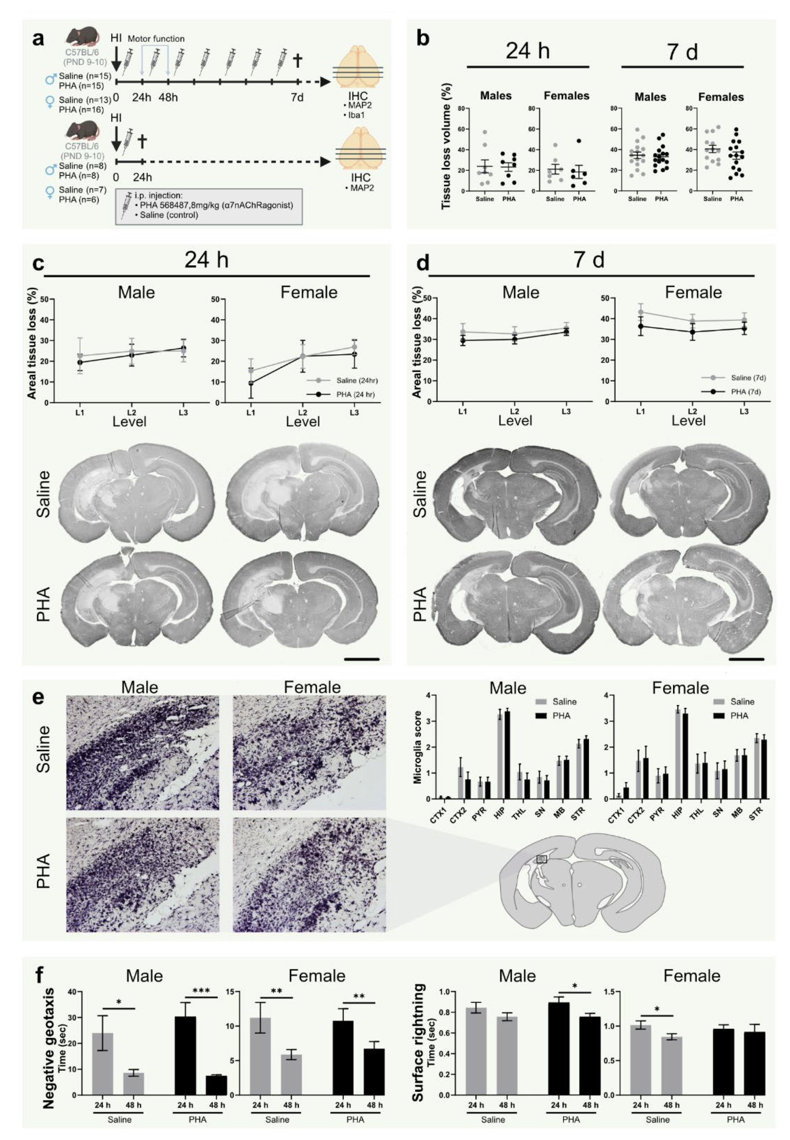 Biomedicines 10 02023 g002