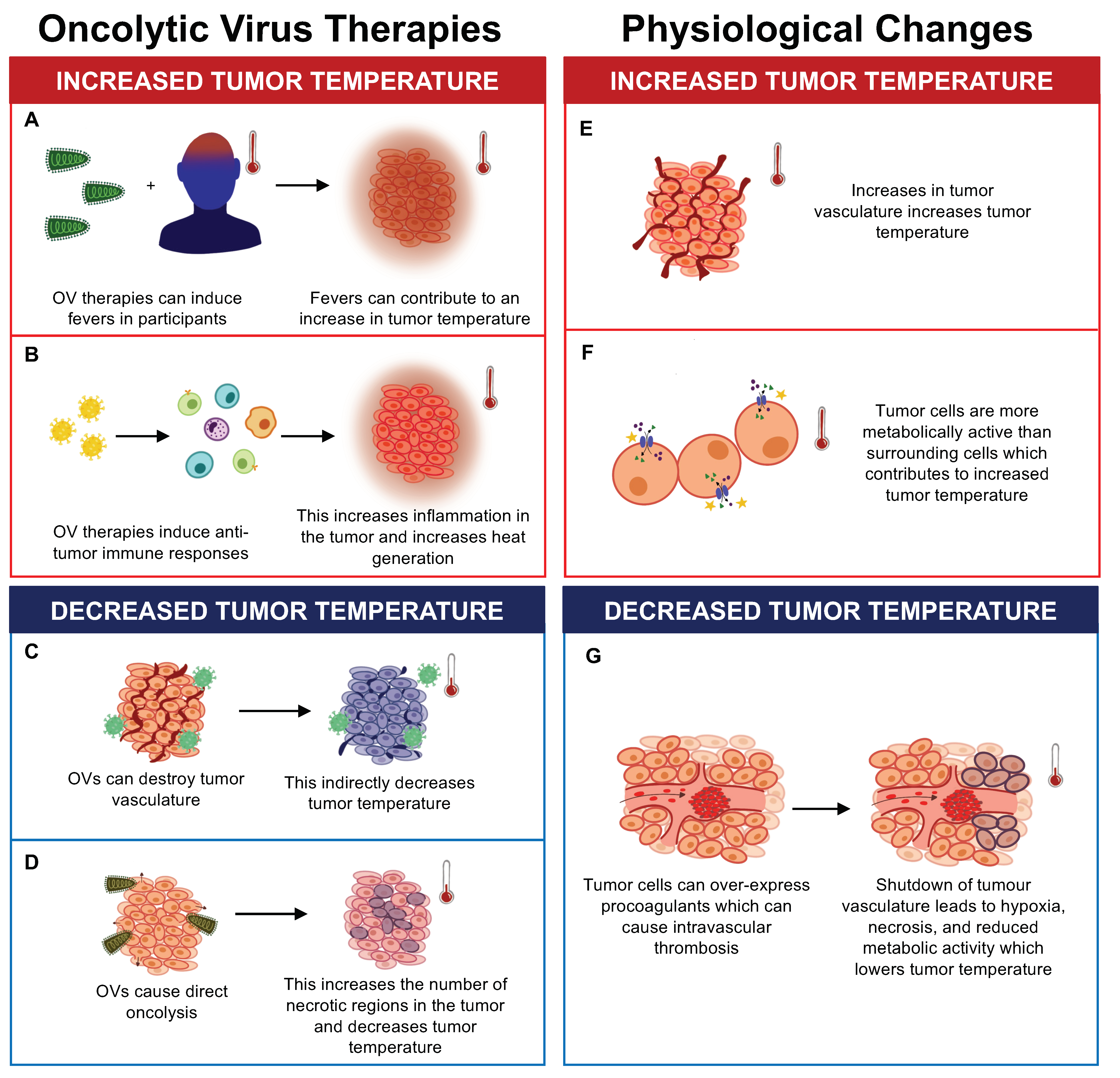 Biomedicines 10 02024 g001 Biomedicines 10 02024 g001
