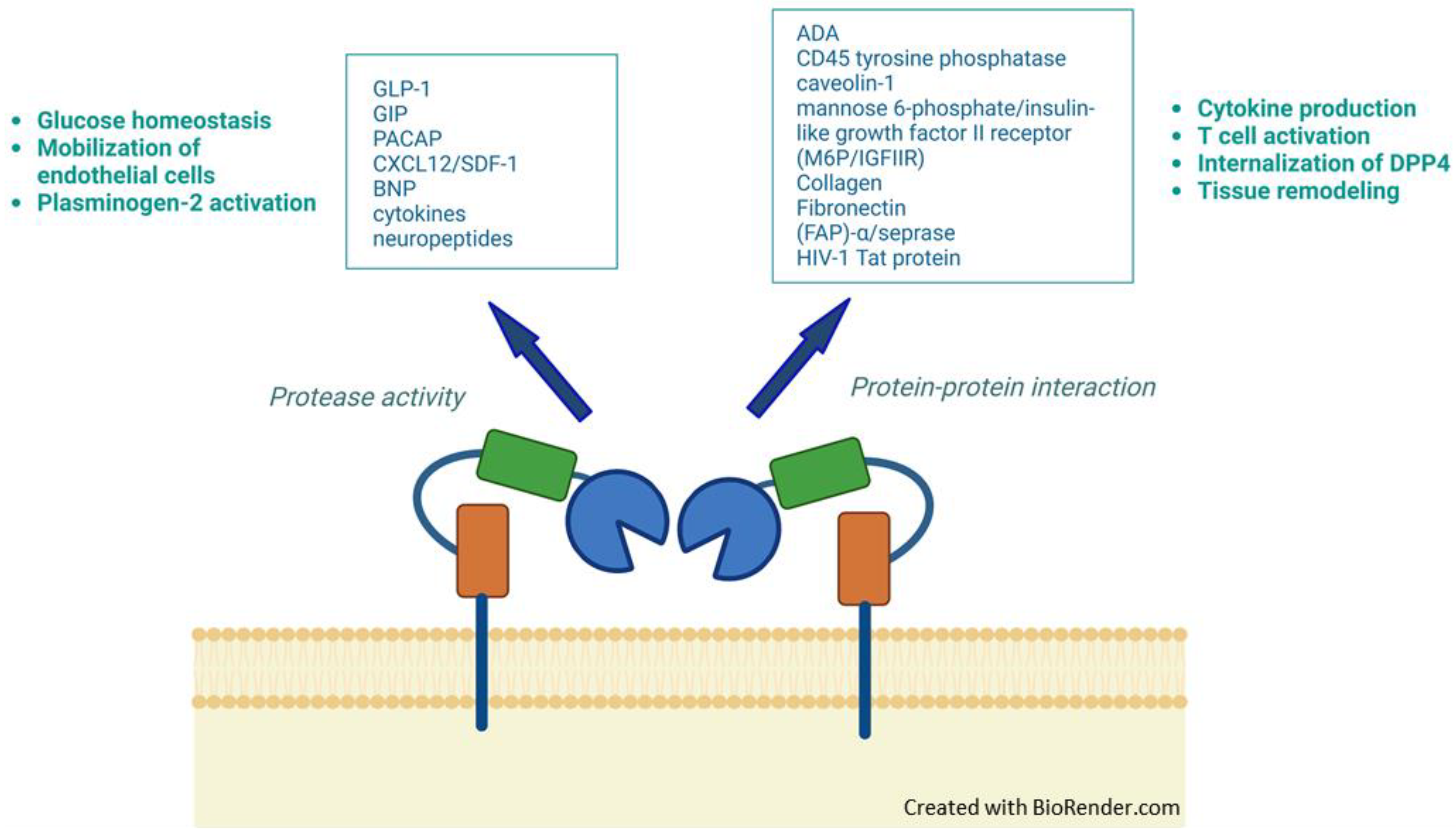 Biomedicines 10 02026 g002 Biomedicines 10 02026 g002