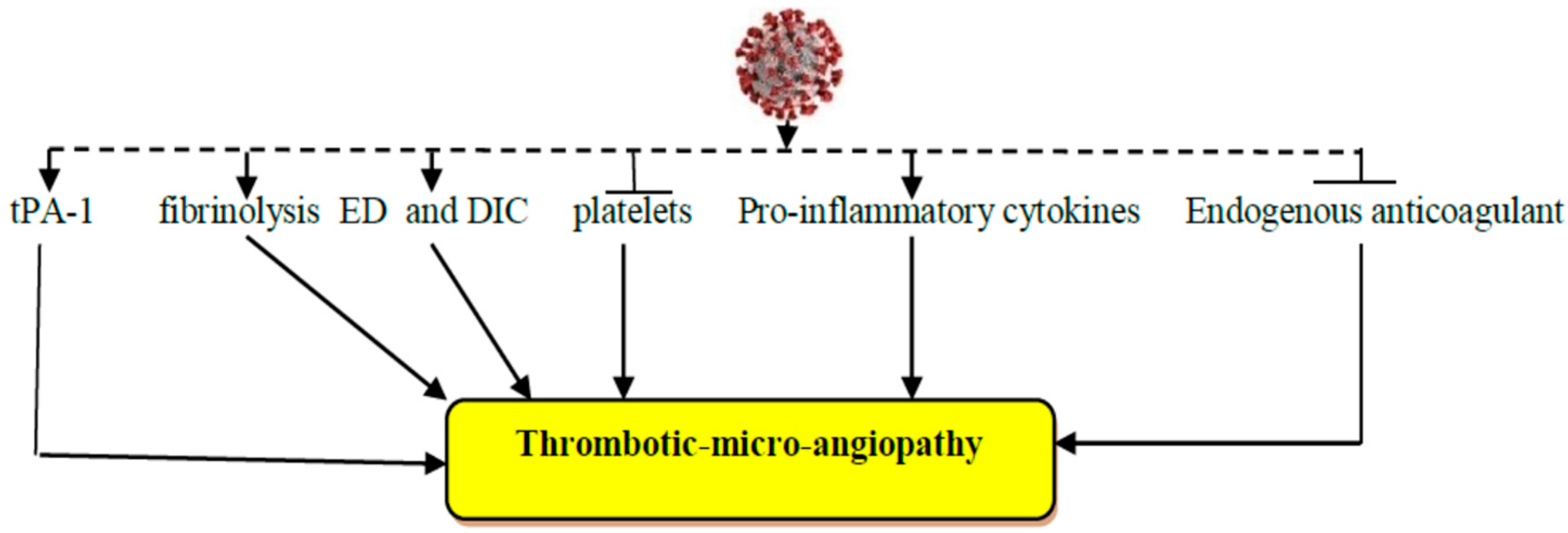 Biomedicines 10 02032 g001