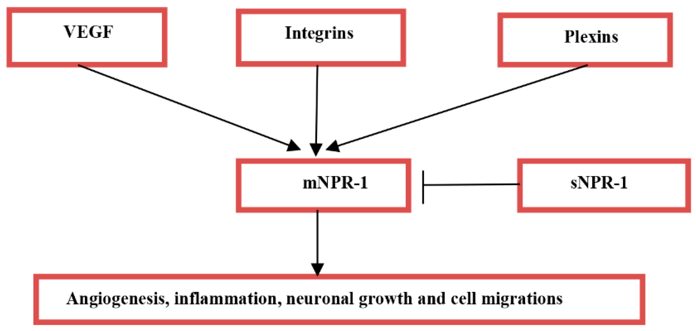 Biomedicines 10 02032 g002