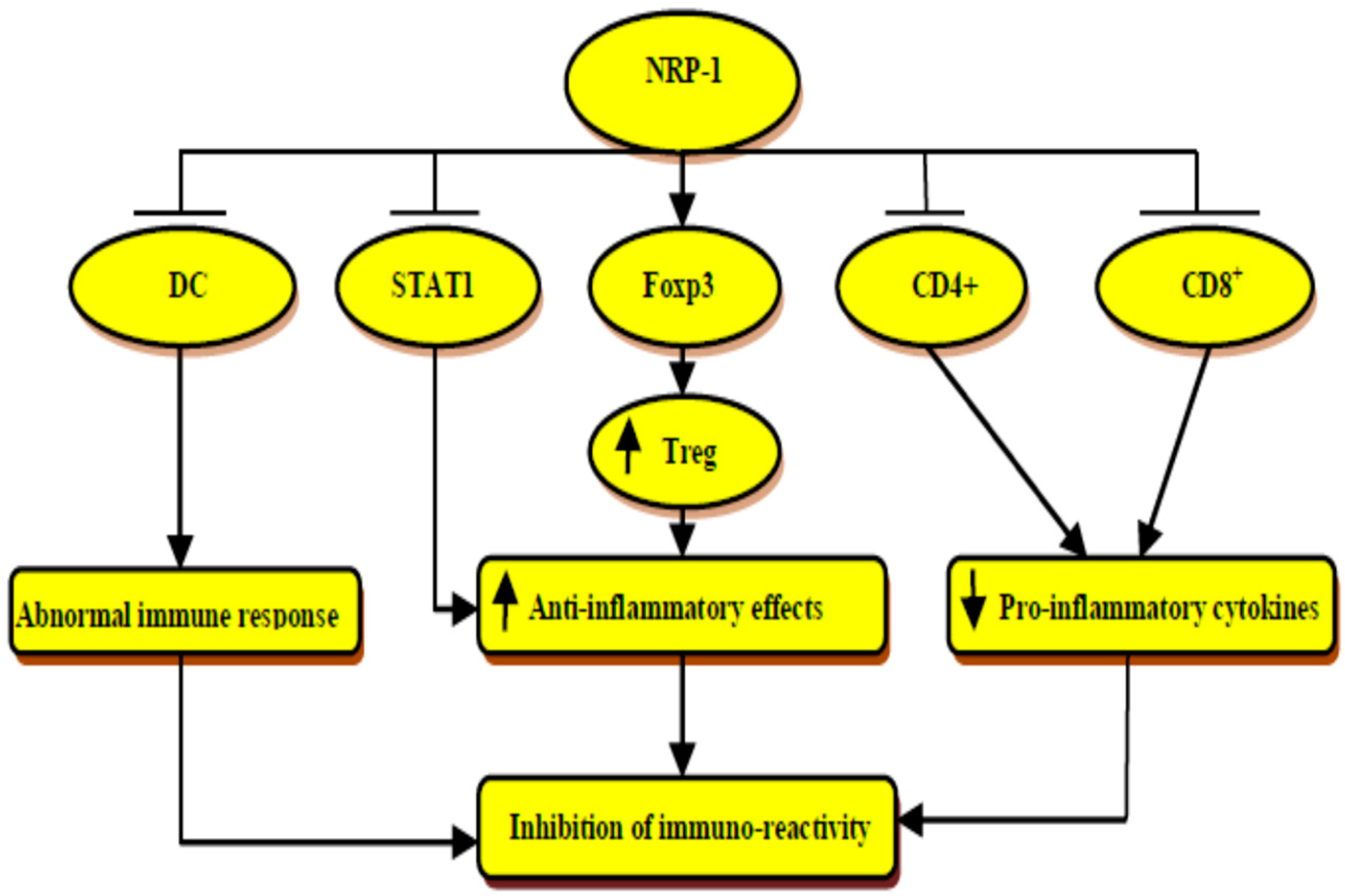 Biomedicines 10 02032 g005