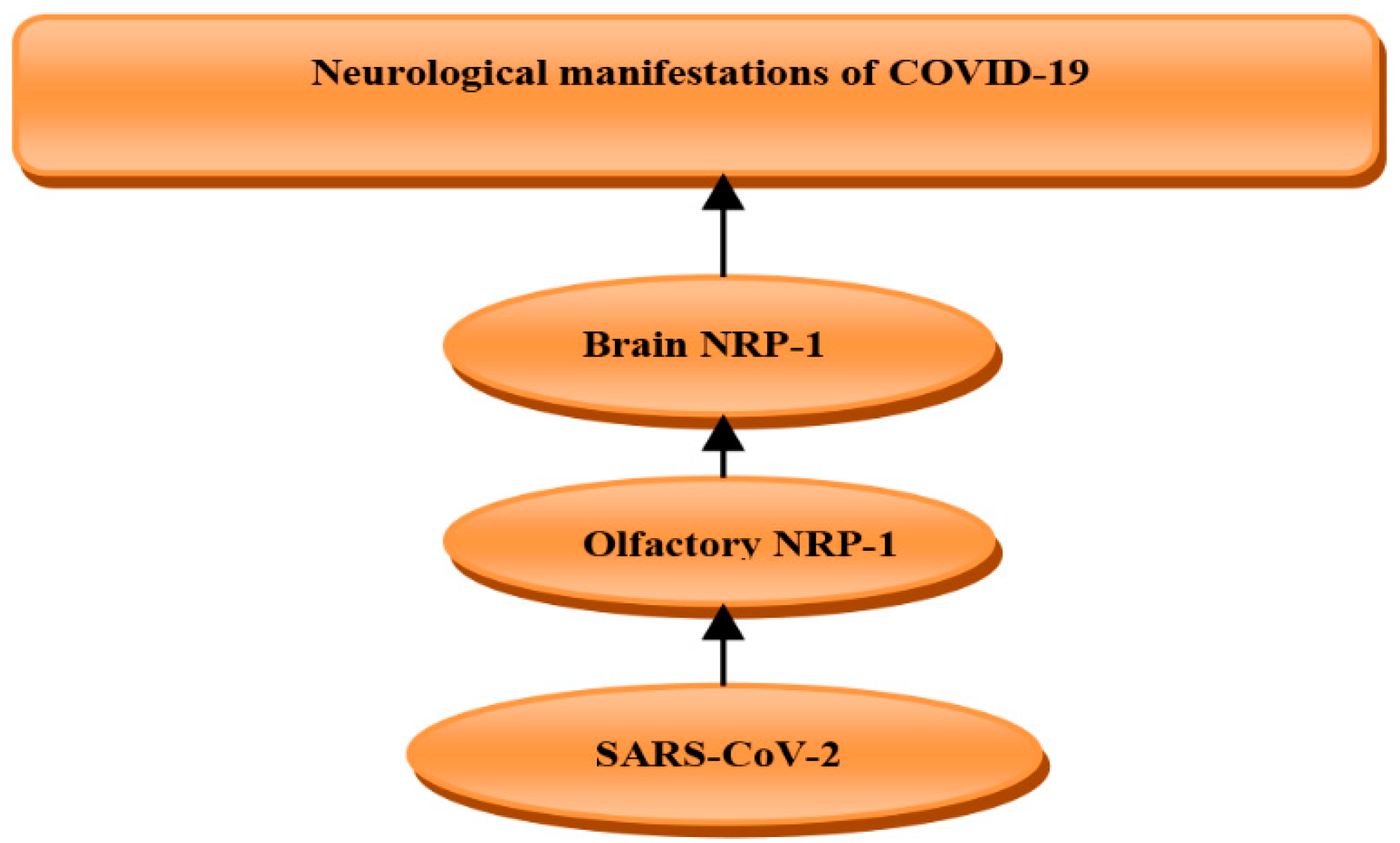 Biomedicines 10 02032 g006