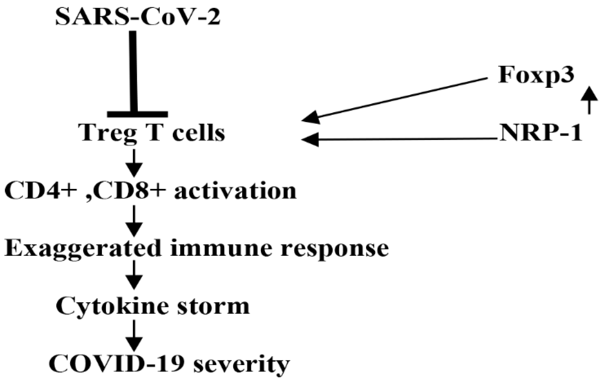 Biomedicines 10 02032 g007