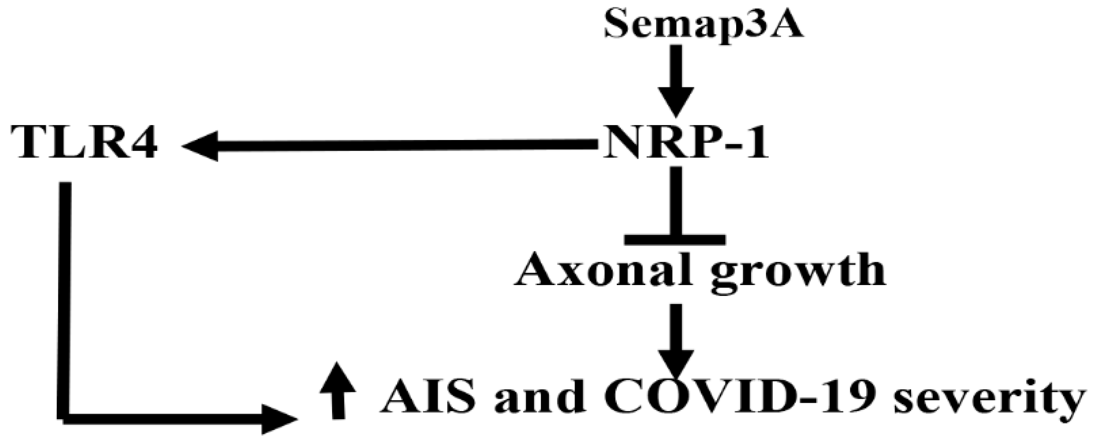Biomedicines 10 02032 g009