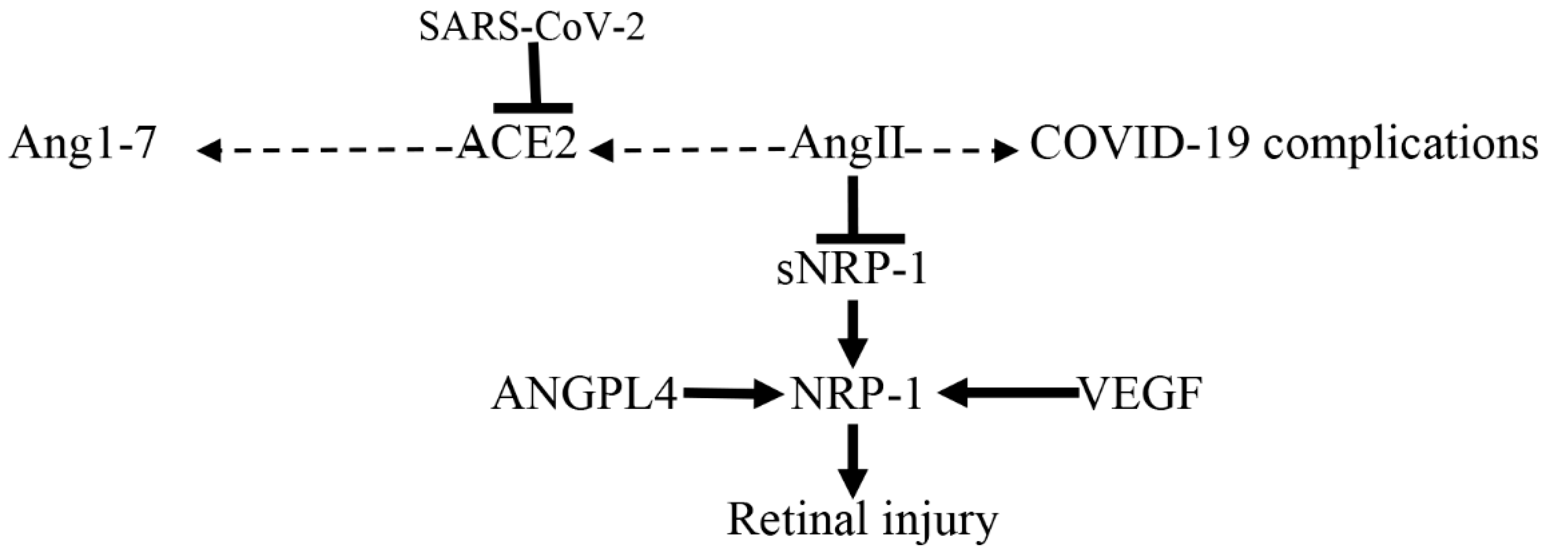 Biomedicines 10 02032 g011