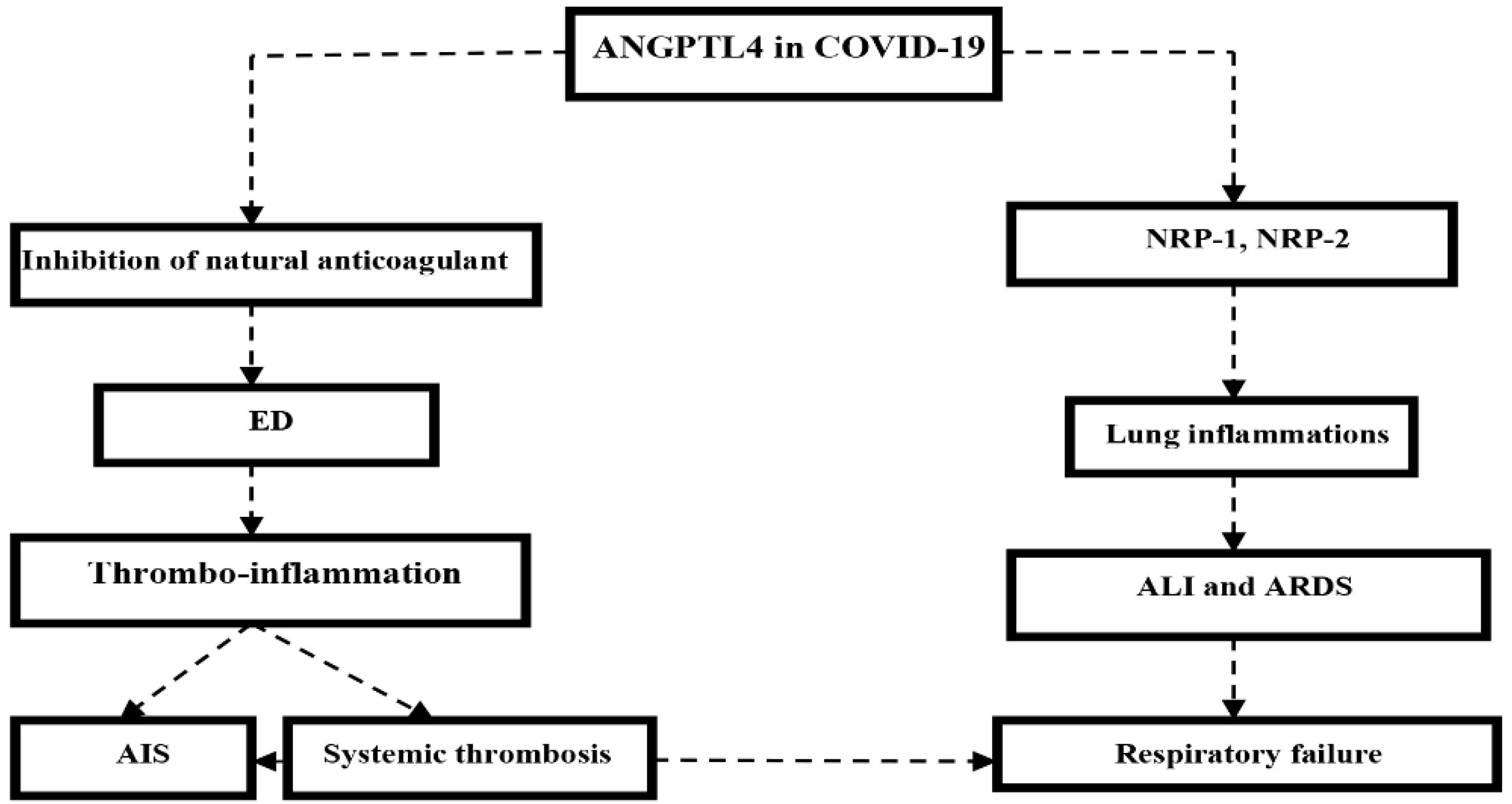 Biomedicines 10 02032 g012