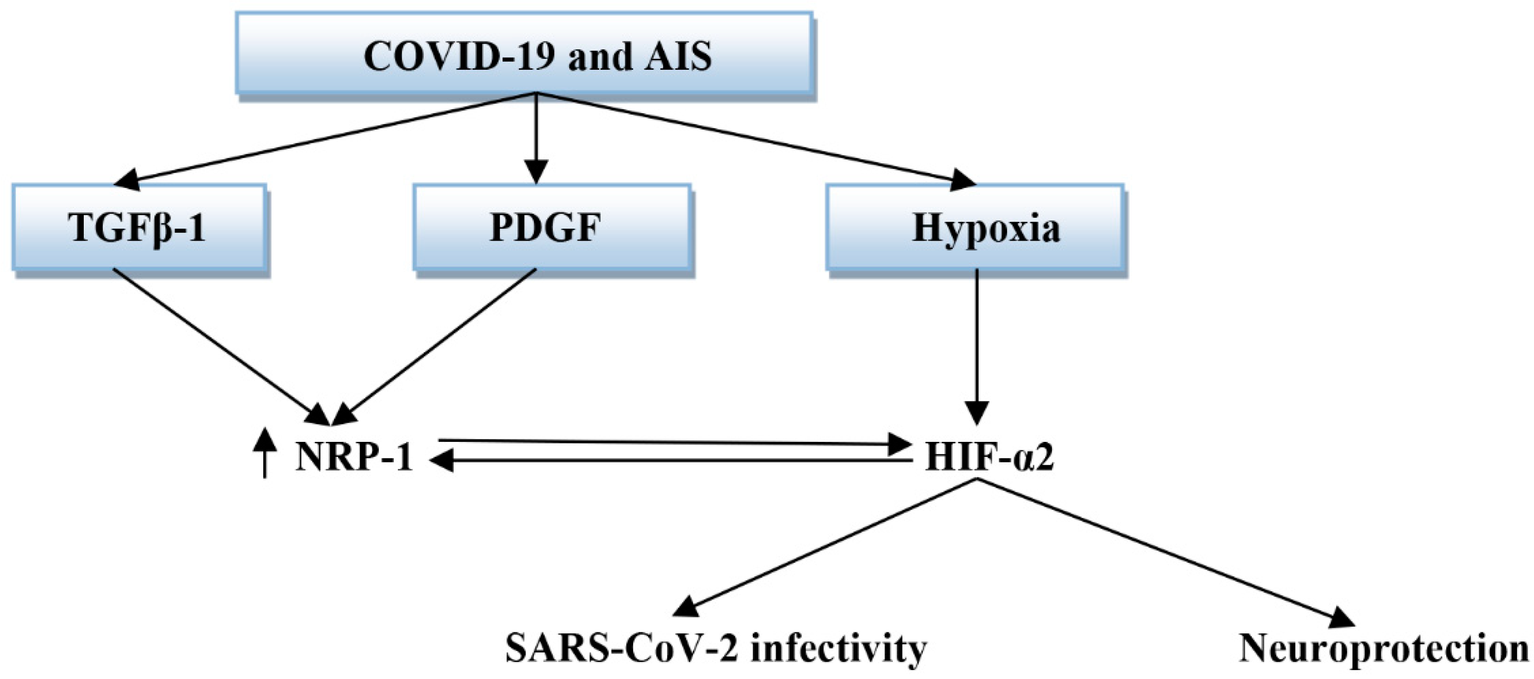 Biomedicines 10 02032 g013