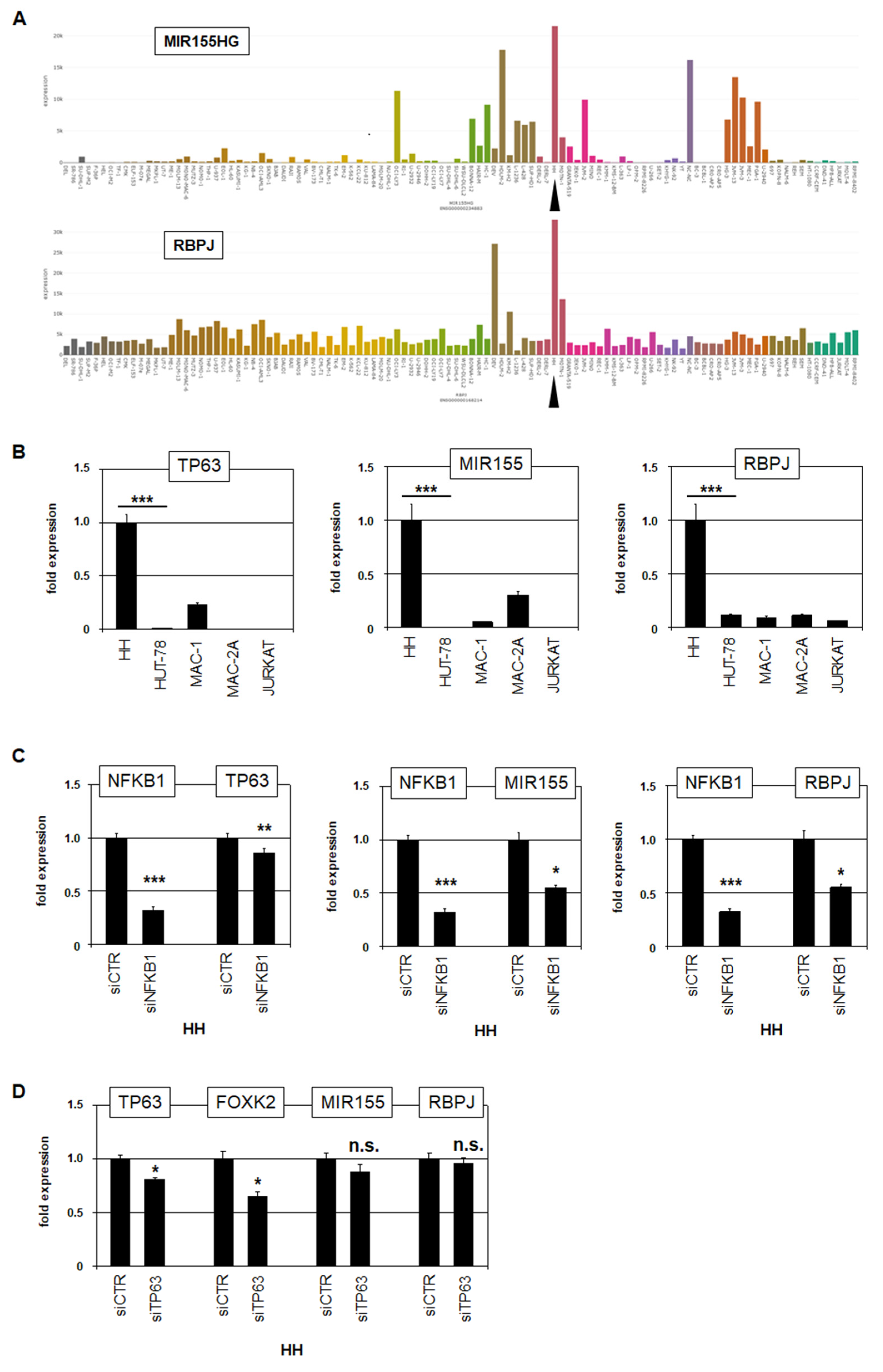 Biomedicines 10 02038 g005 Biomedicines 10 02038 g005