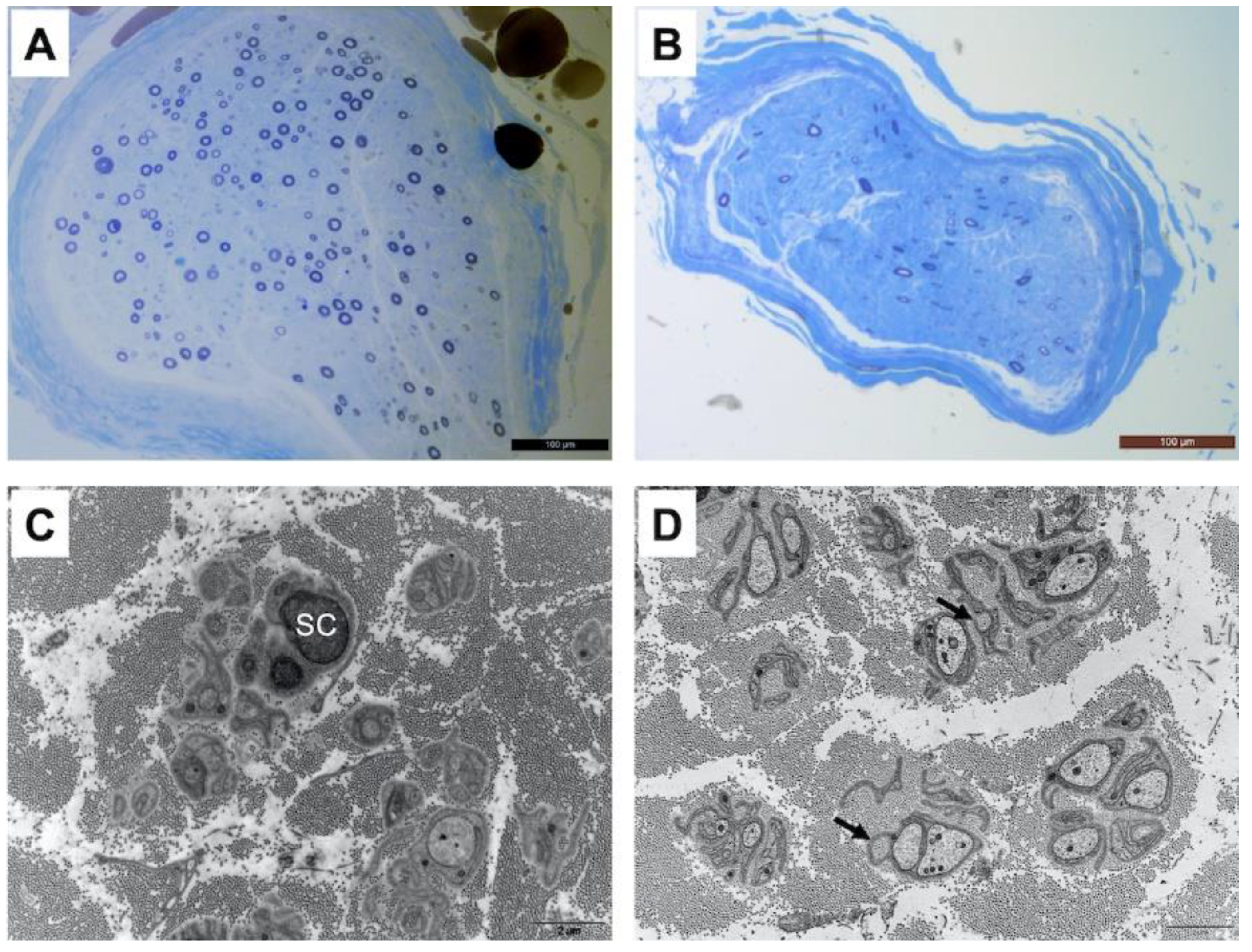 Biomedicines 10 02046 g001