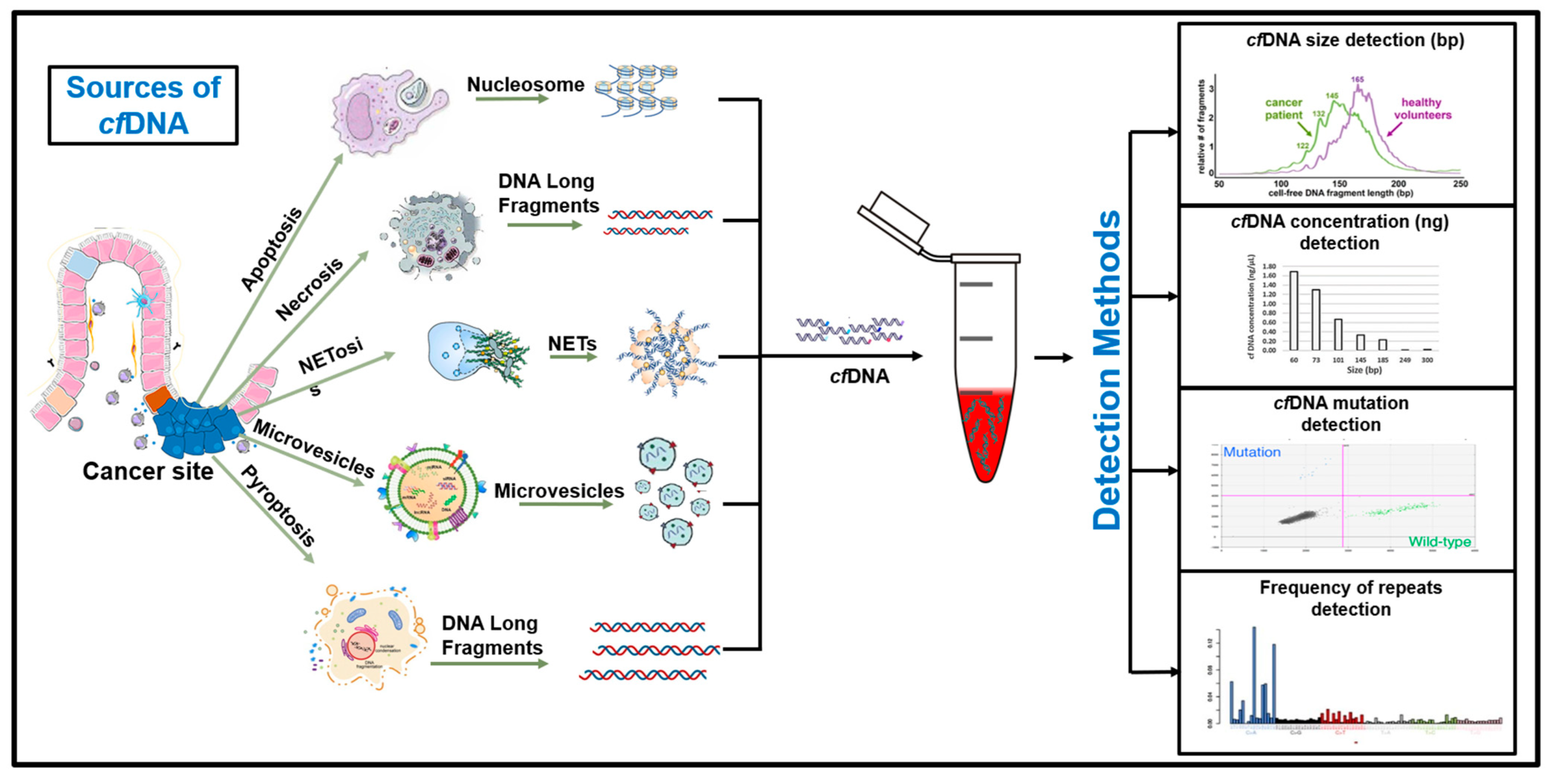 Biomedicines 10 02047 g001