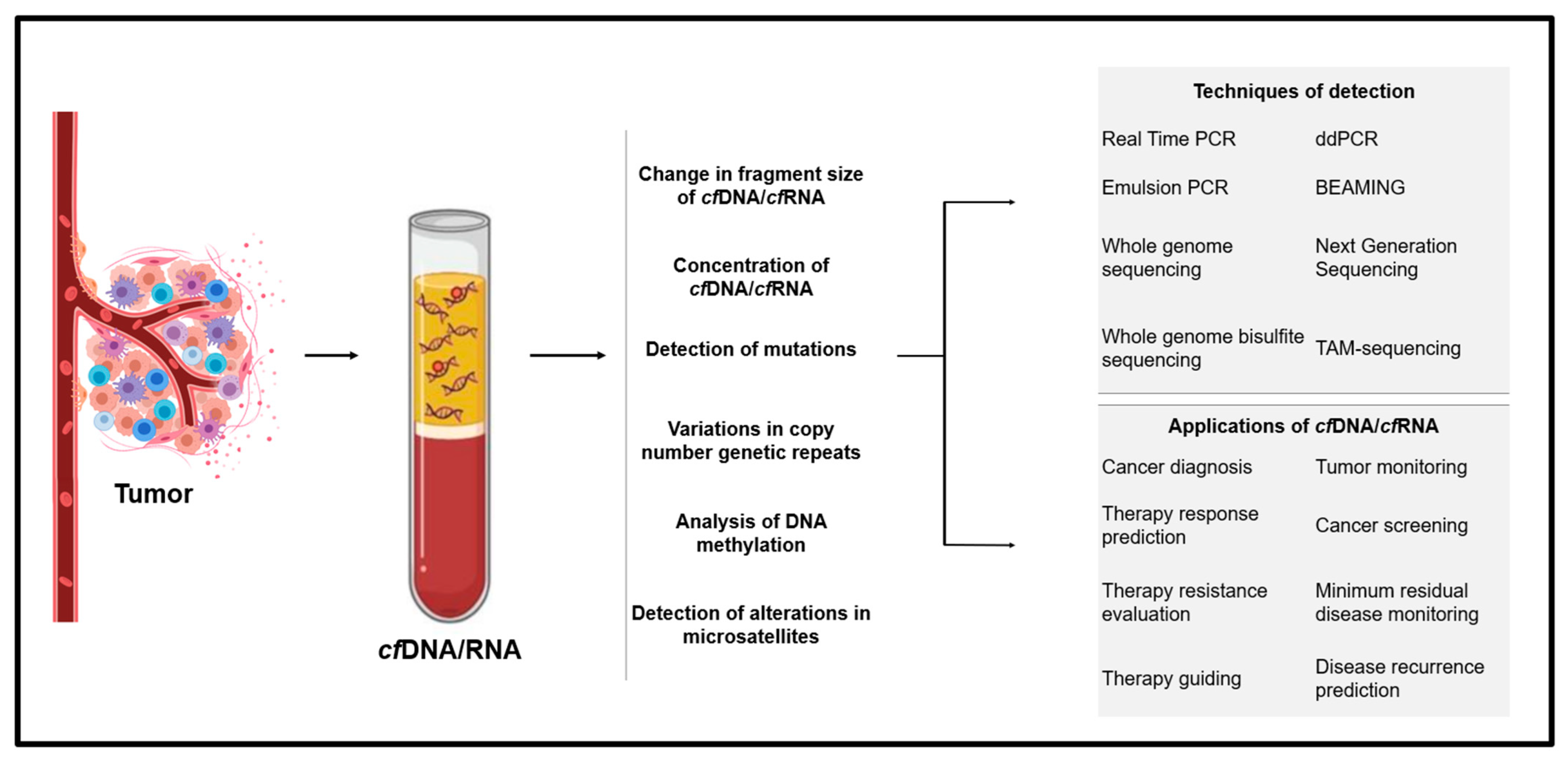 Biomedicines 10 02047 g003