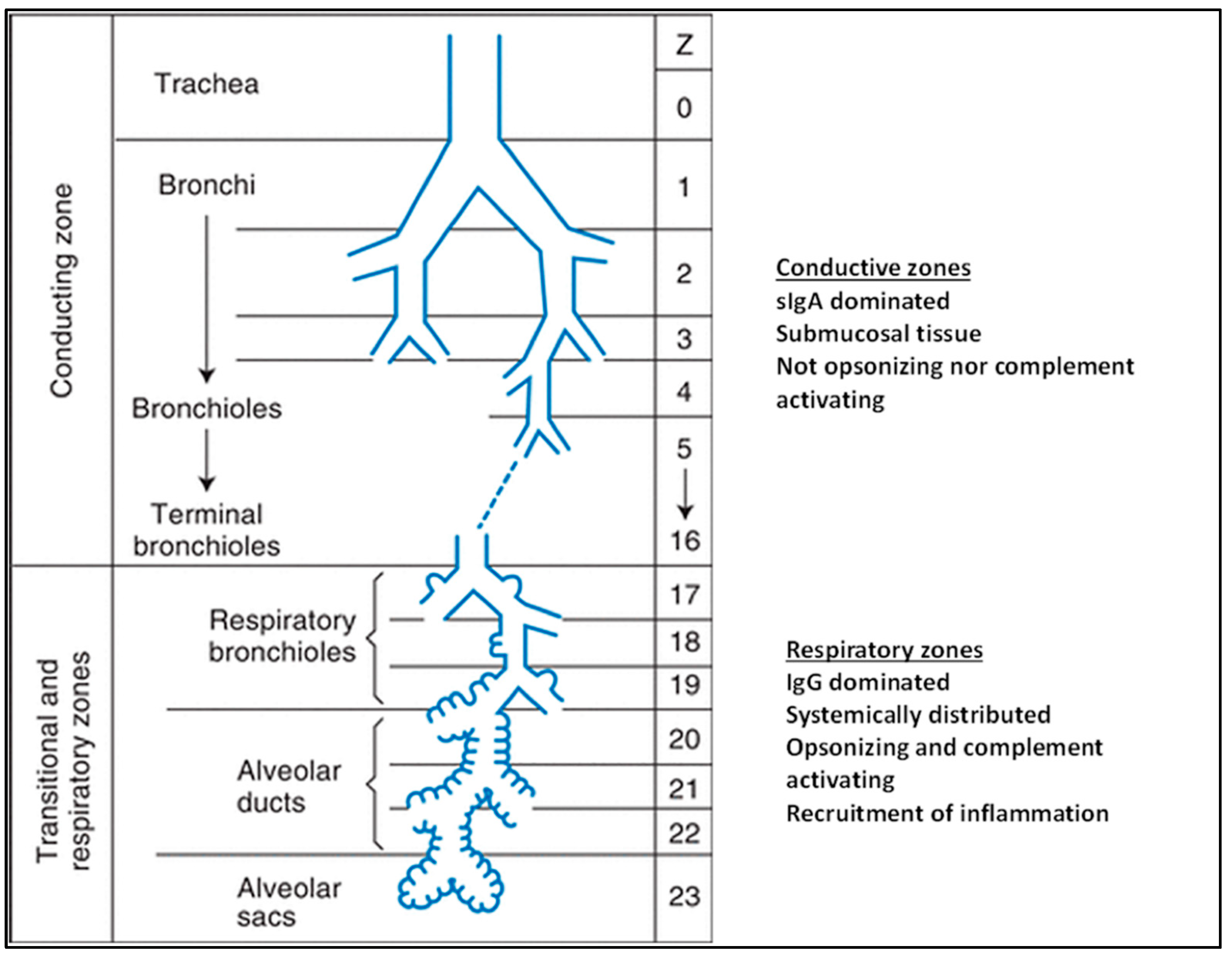 Biomedicines 10 02064 g001