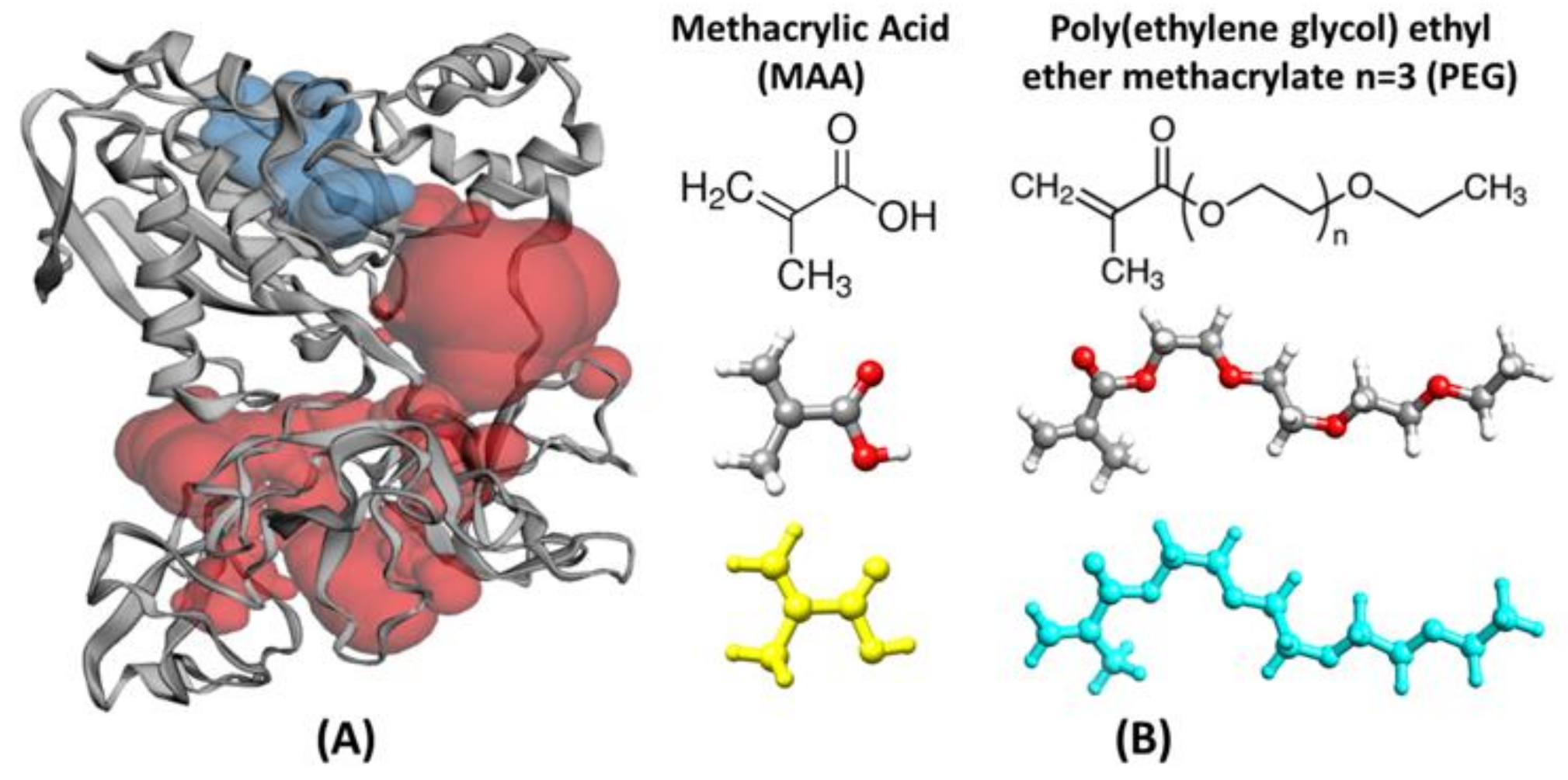 Biomedicines 10 02070 g001