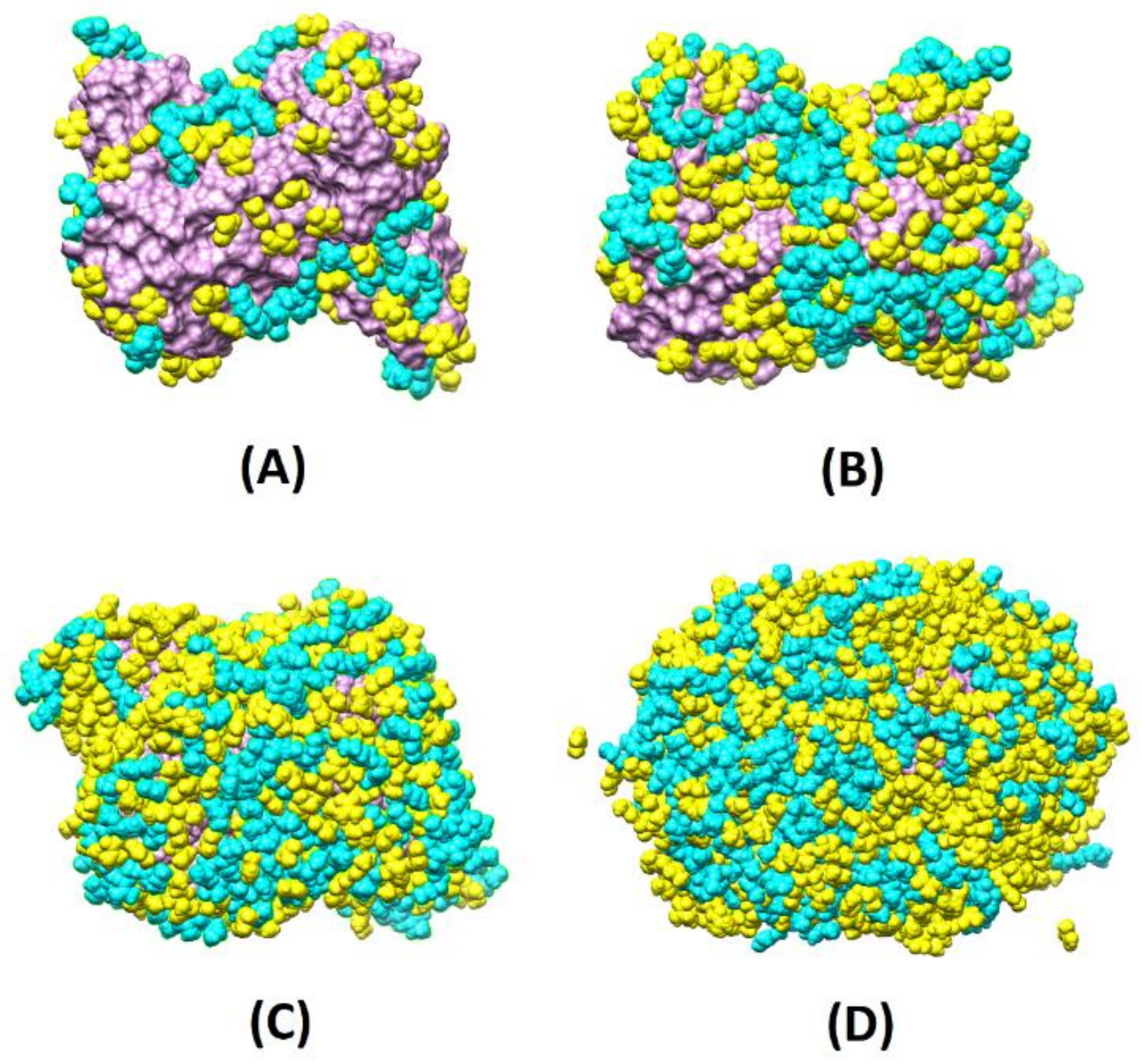 Biomedicines 10 02070 g002