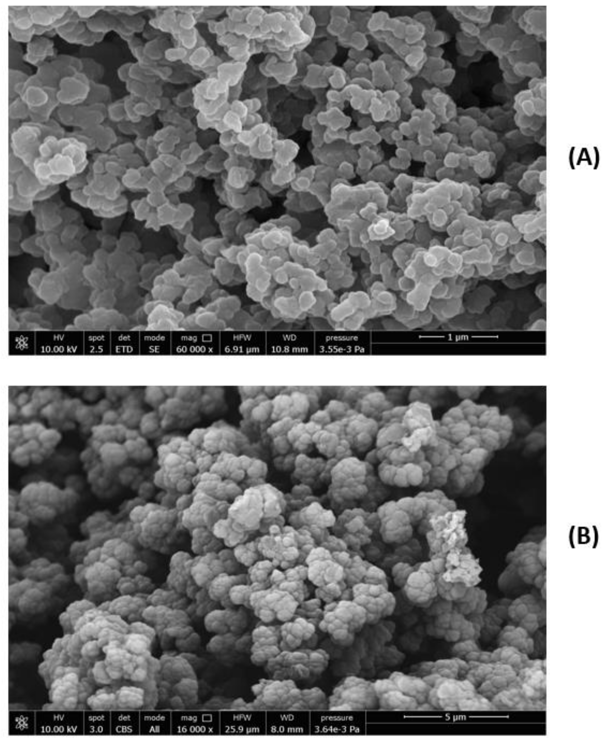 Biomedicines 10 02070 g006