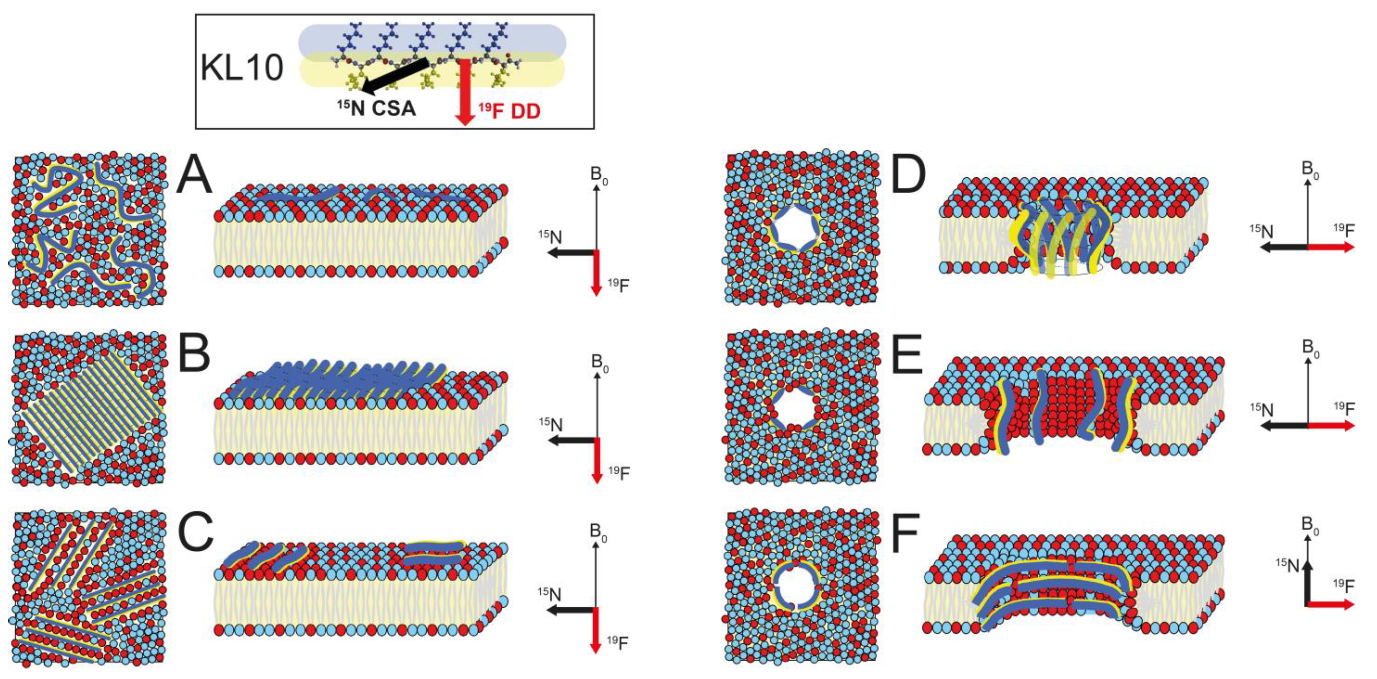 Biomedicines 10 02071 g001