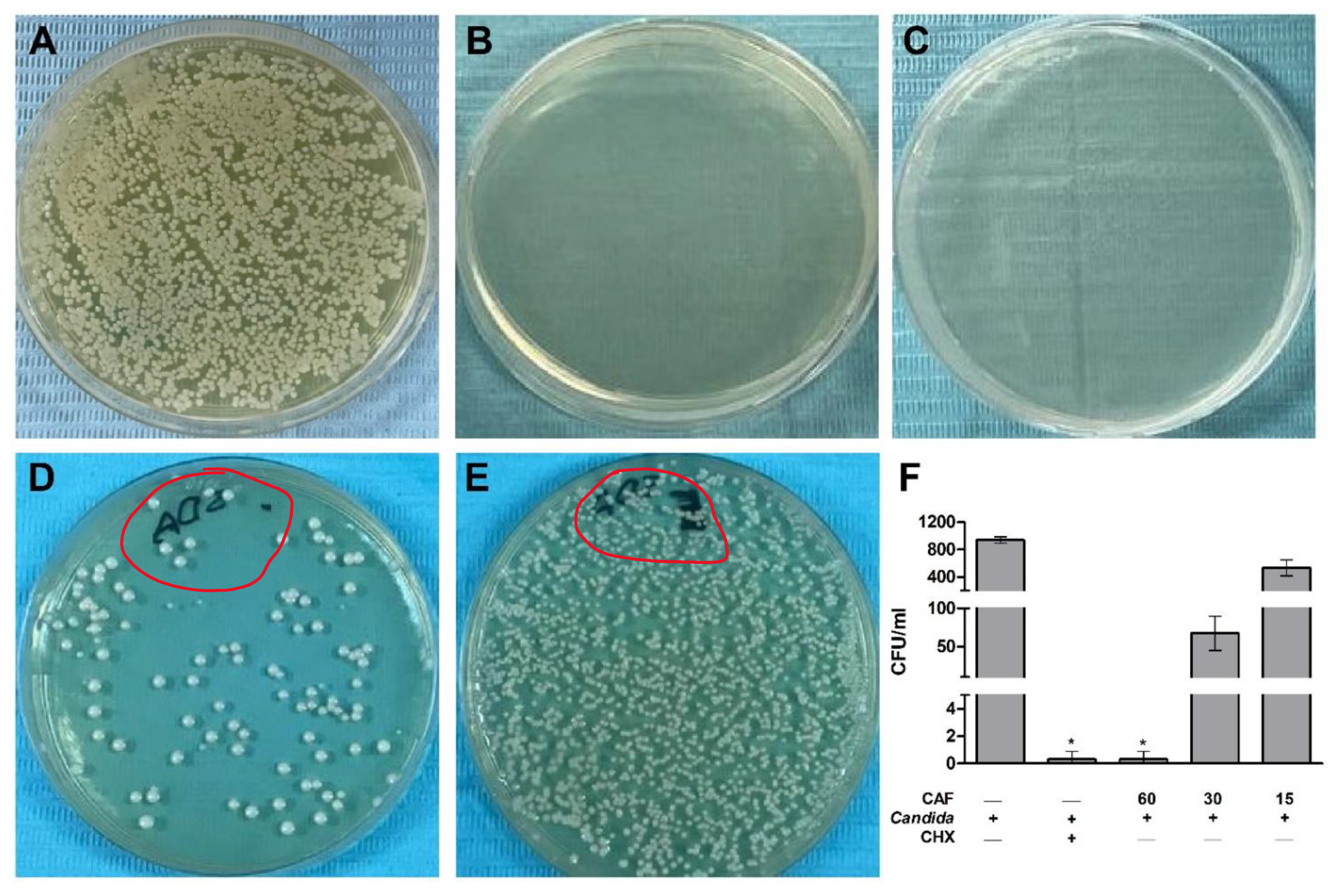 Biomedicines 10 02078 g002