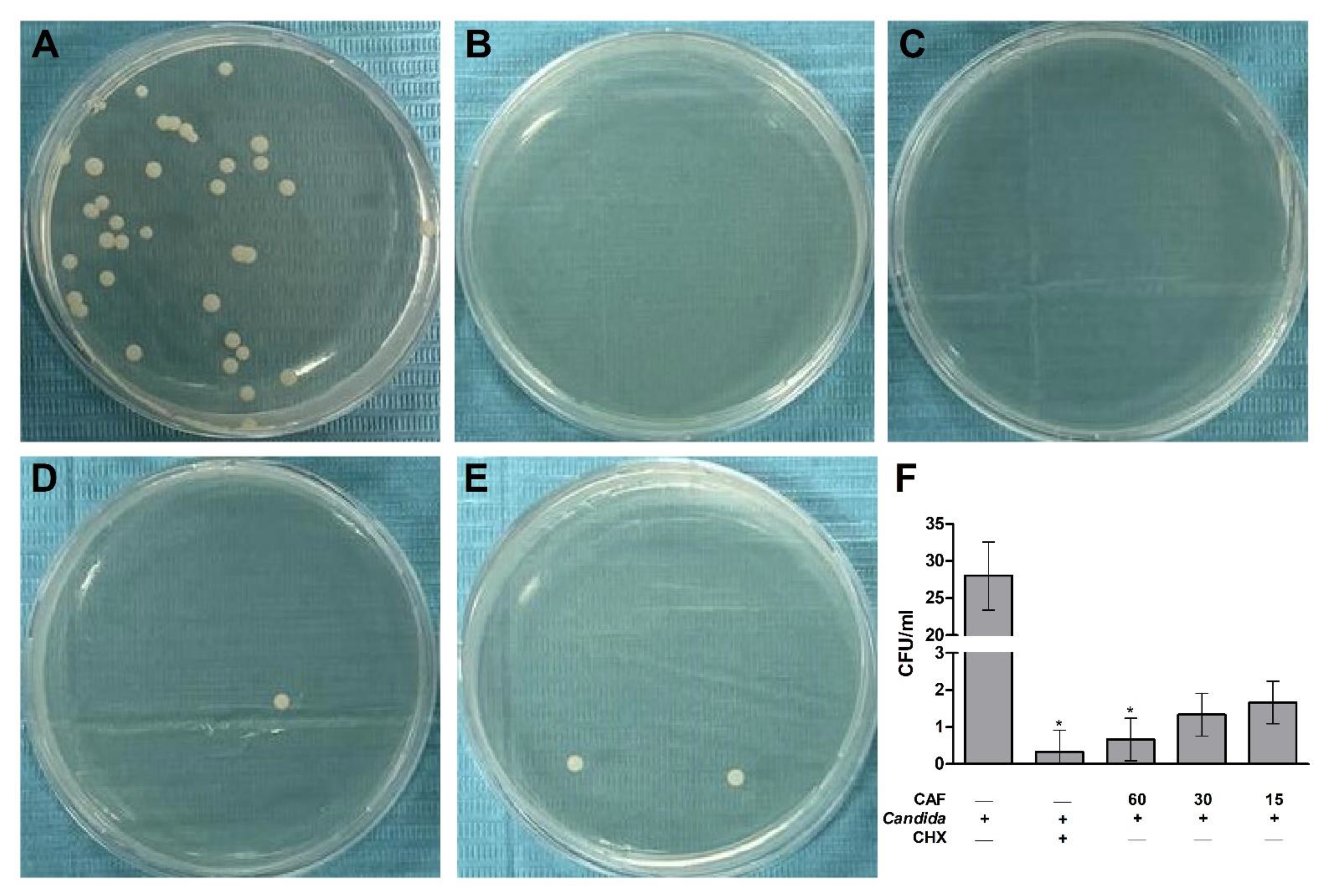 Biomedicines 10 02078 g006