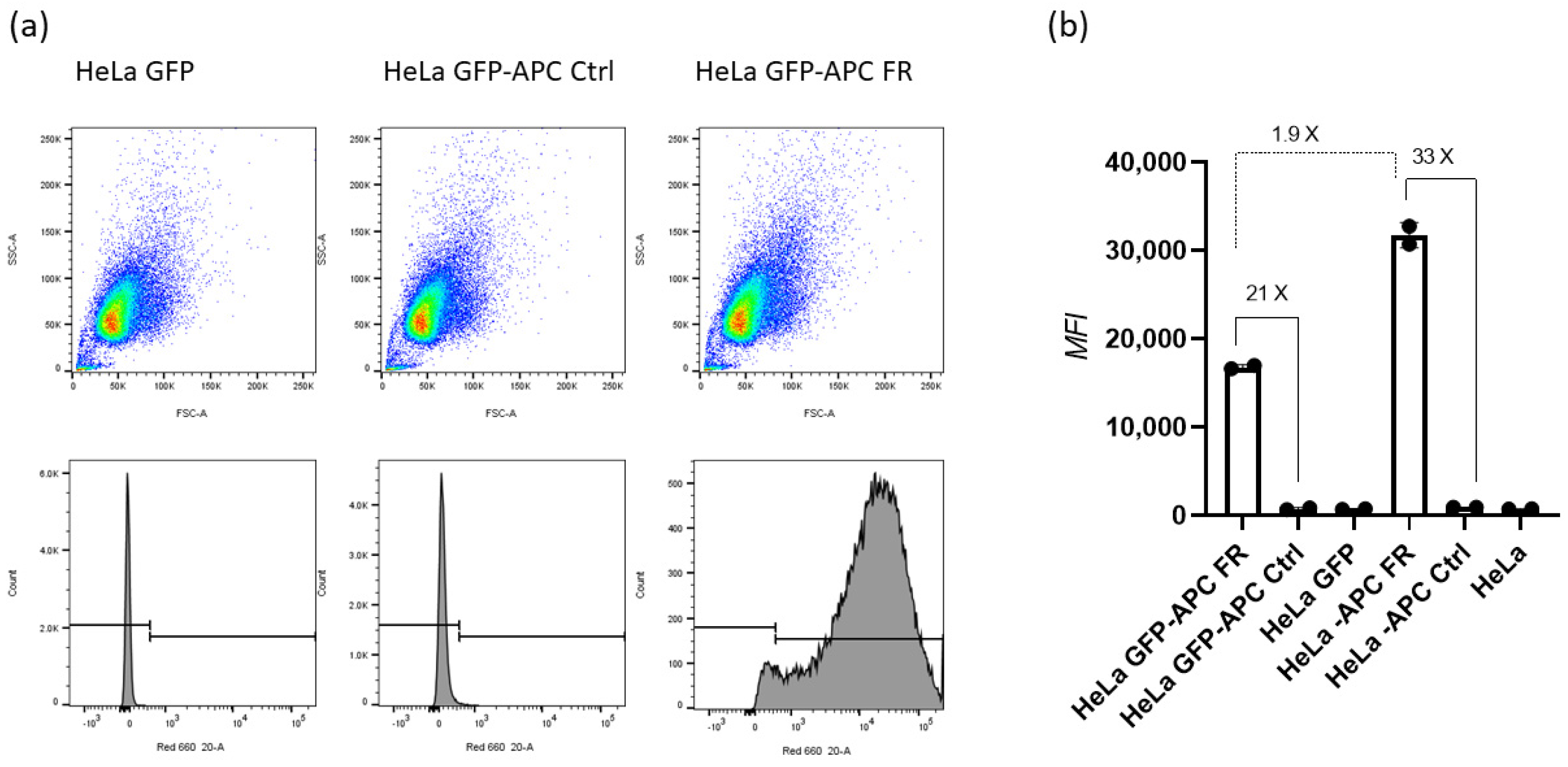 Biomedicines 10 02096 g001