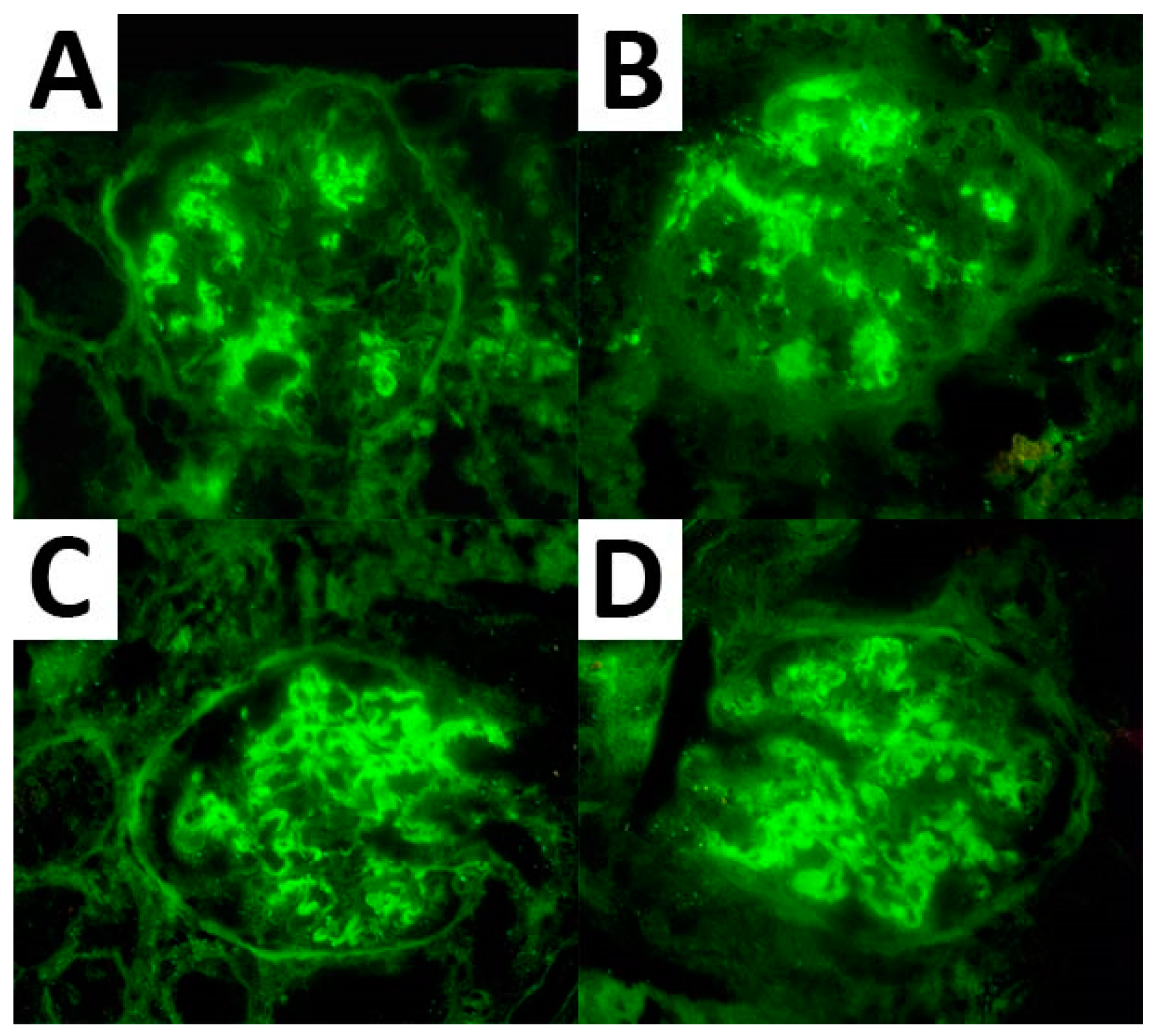Biomedicines 10 02102 g001