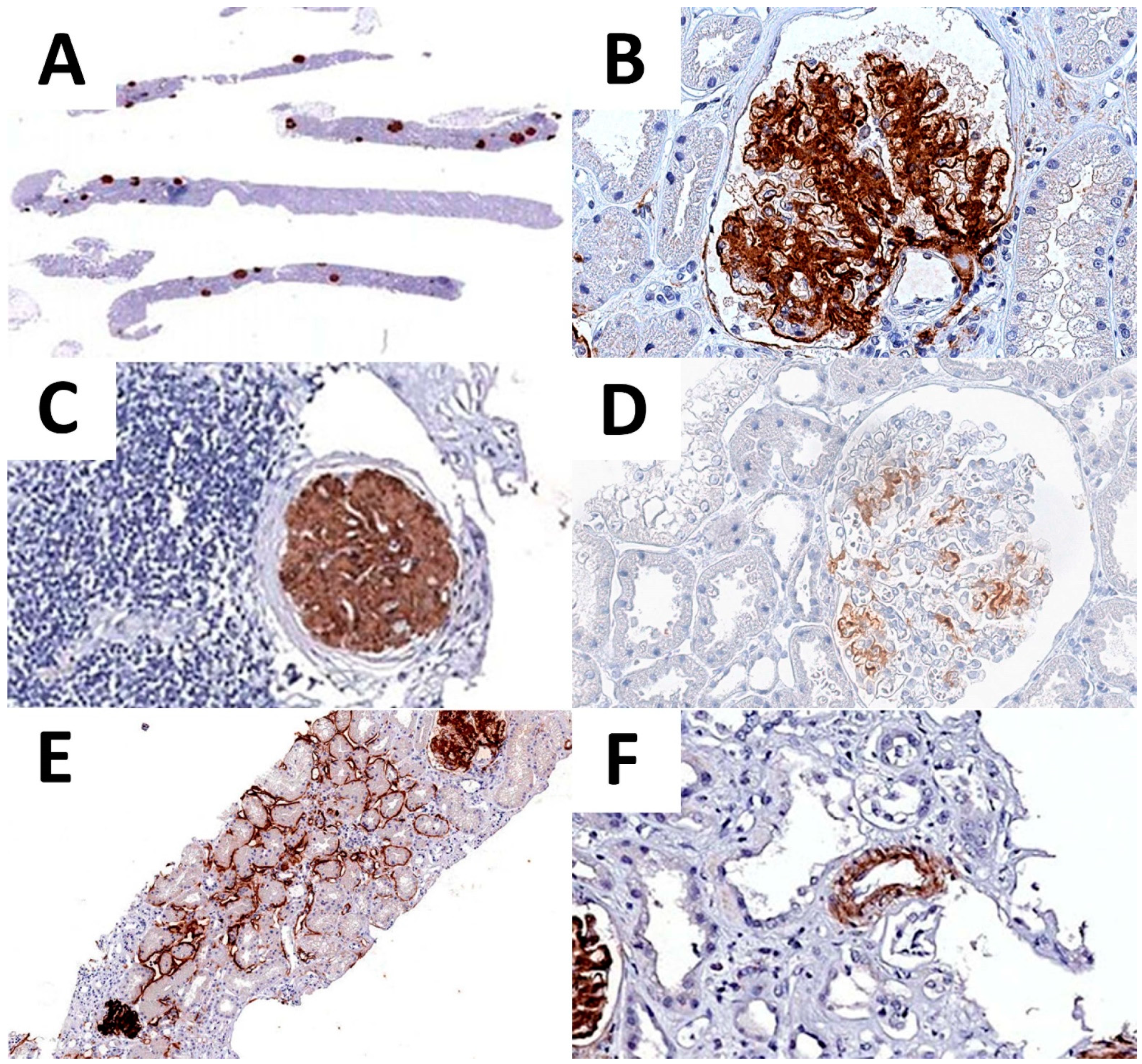 Biomedicines 10 02102 g003