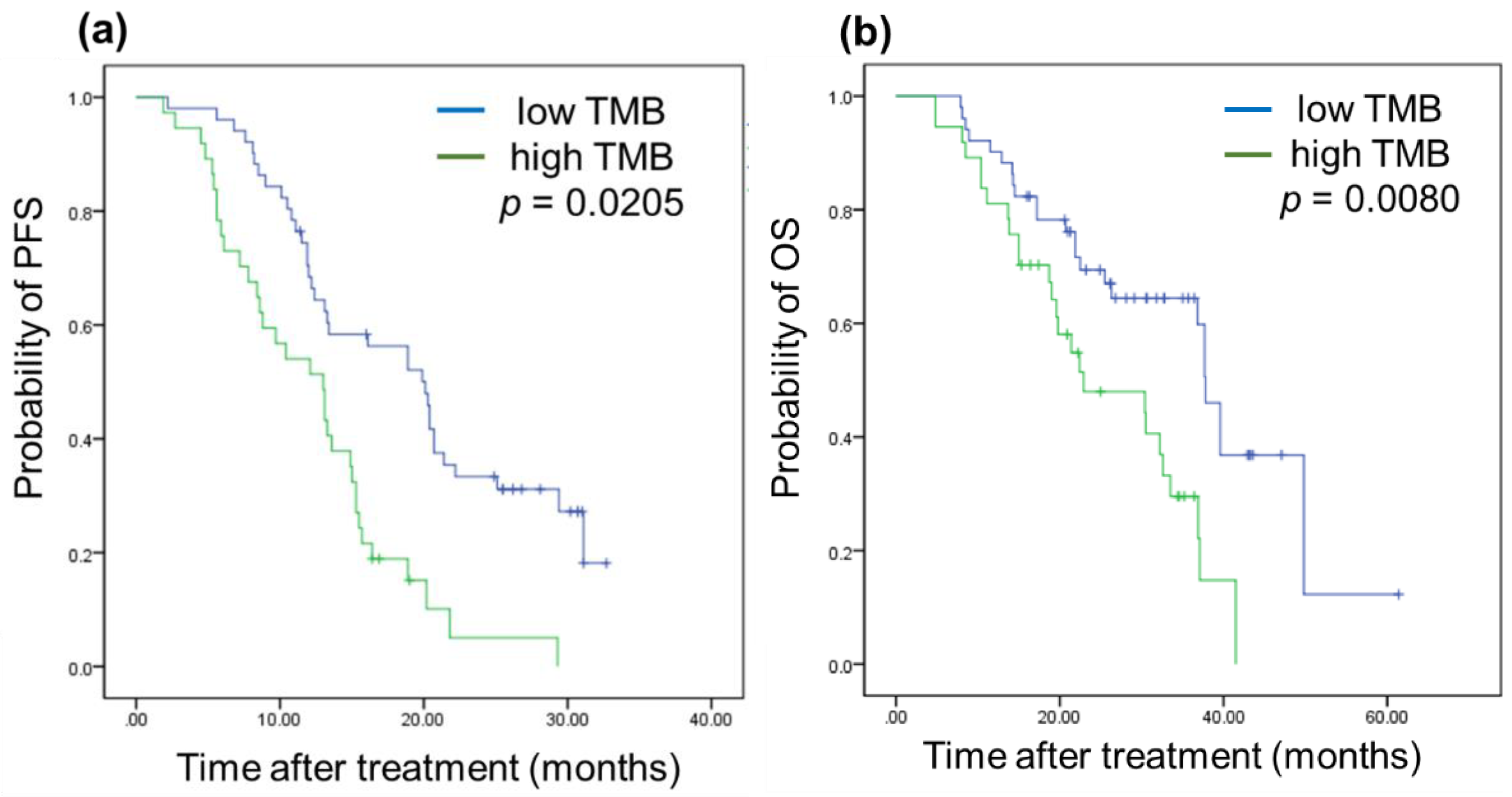 Biomedicines 10 02109 g002