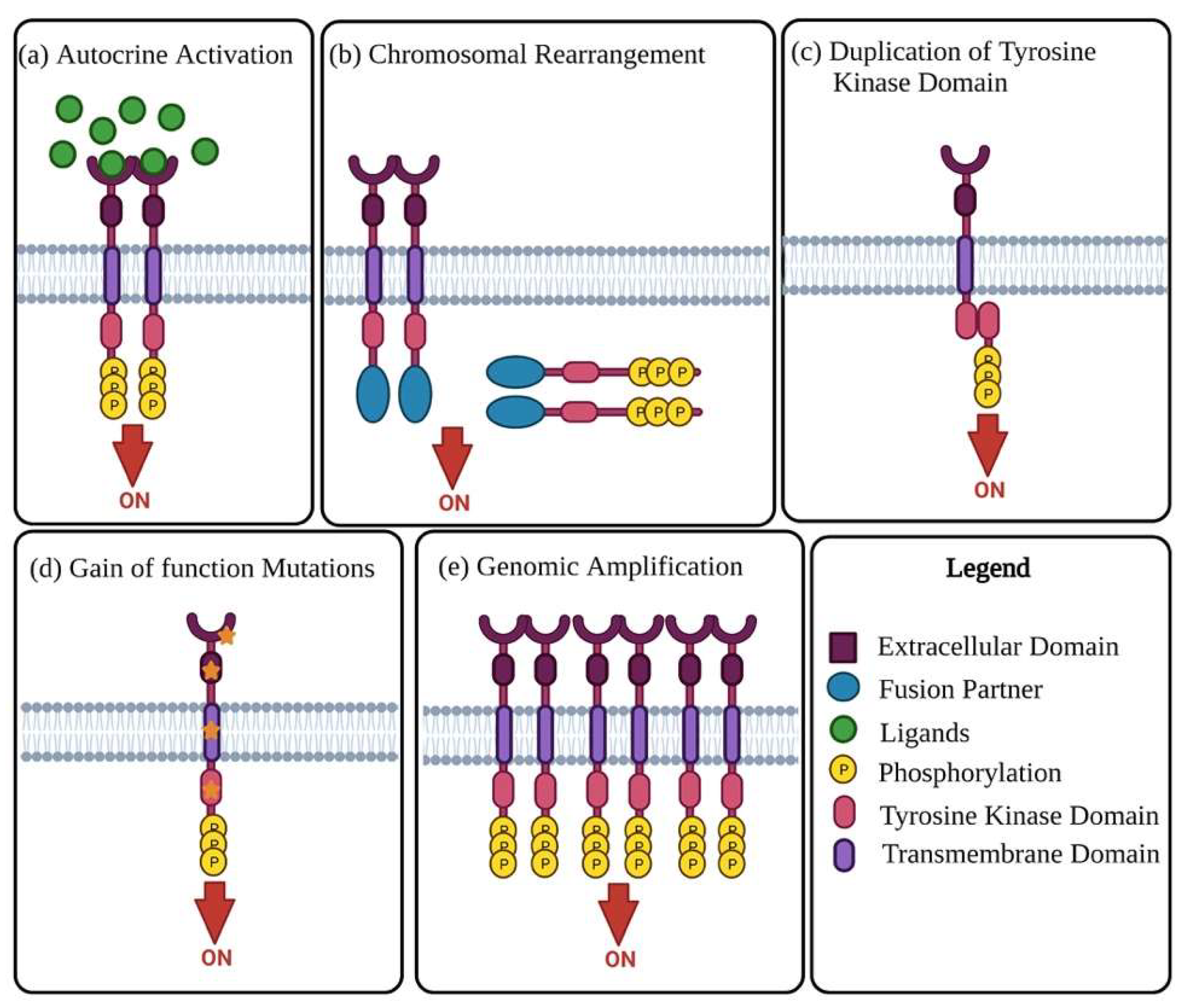 Biomedicines 10 02113 g001