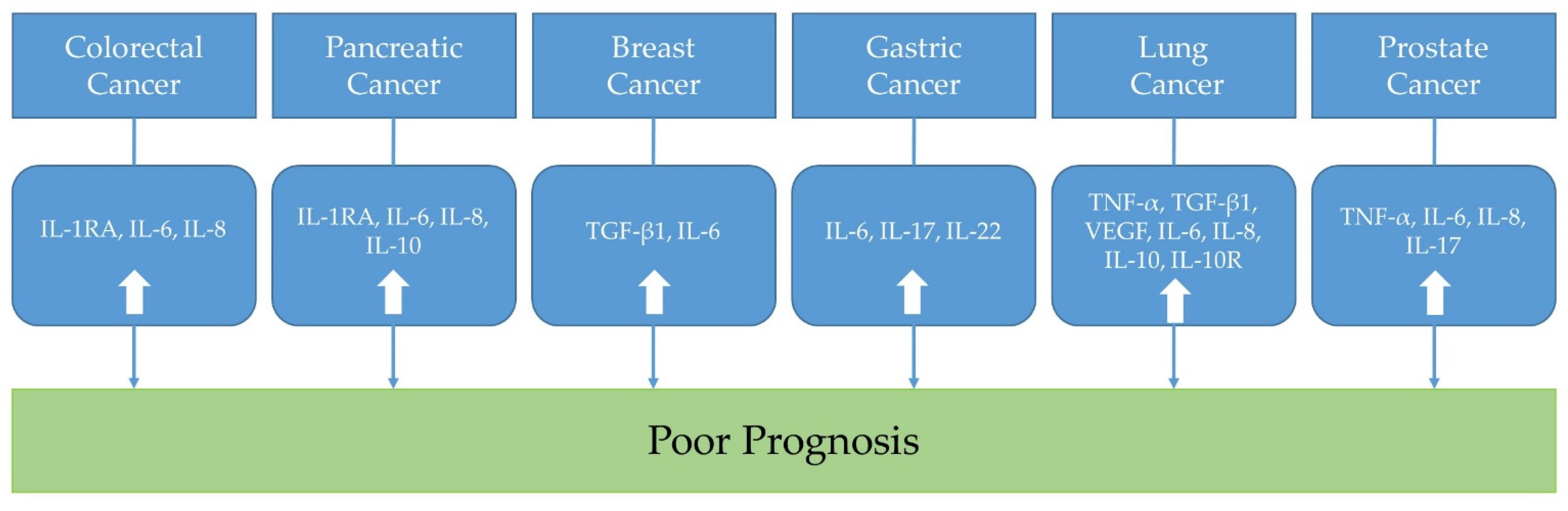 Biomedicines 10 02116 g001