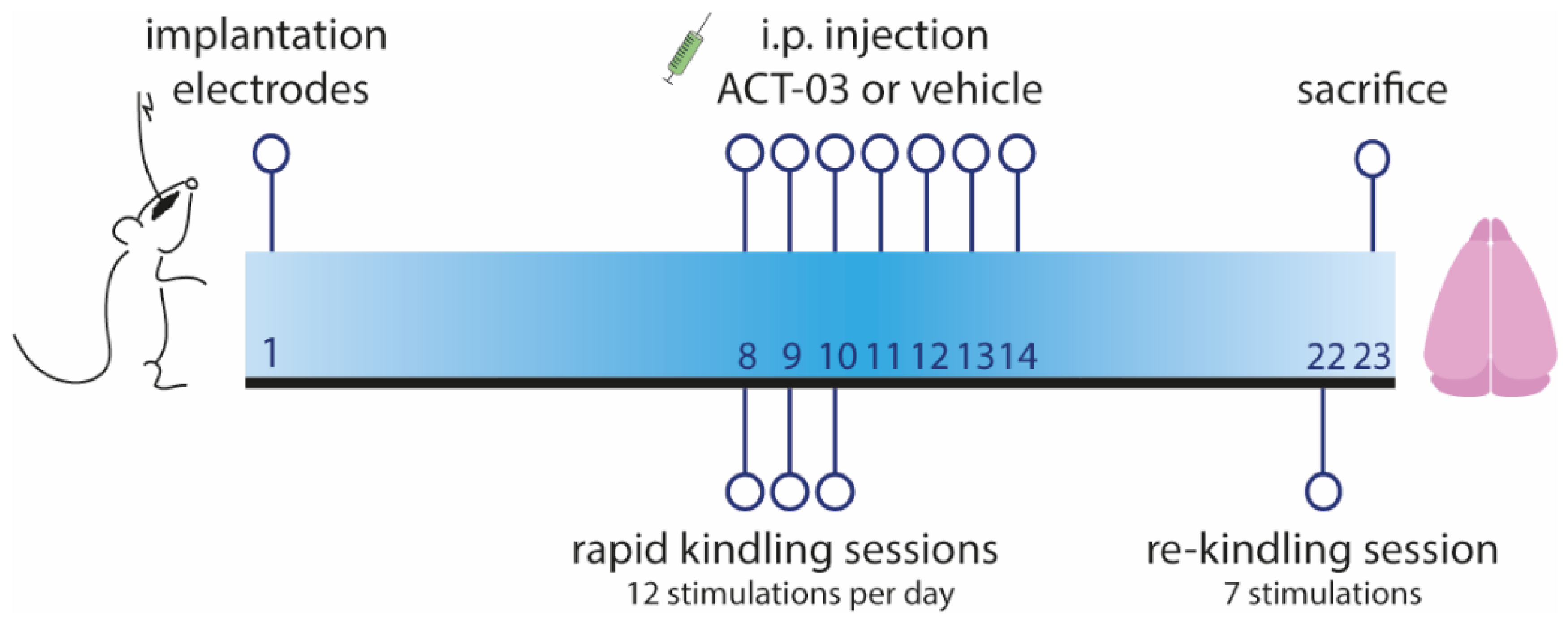 Biomedicines 10 02117 g001