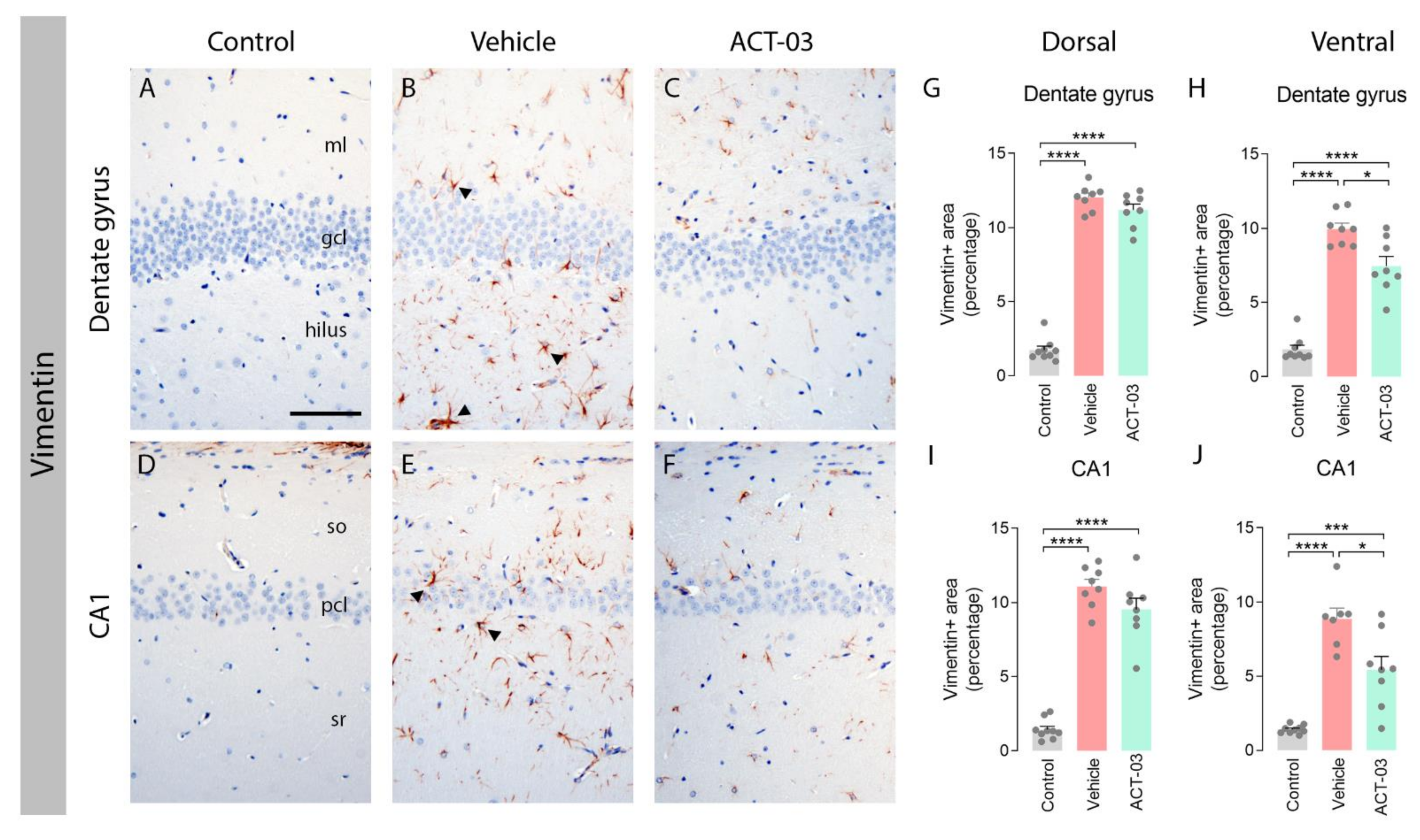 Biomedicines 10 02117 g002