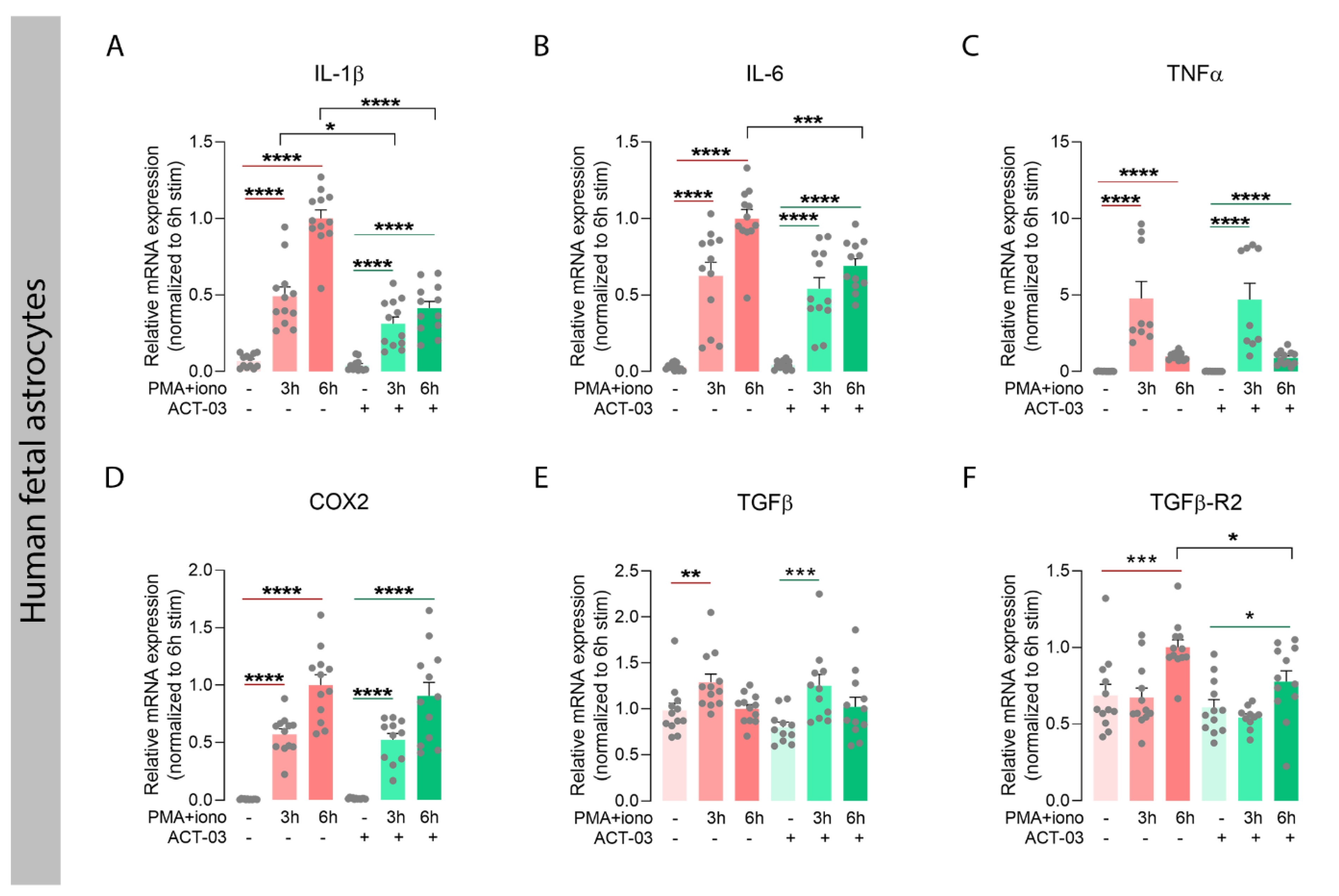 Biomedicines 10 02117 g004