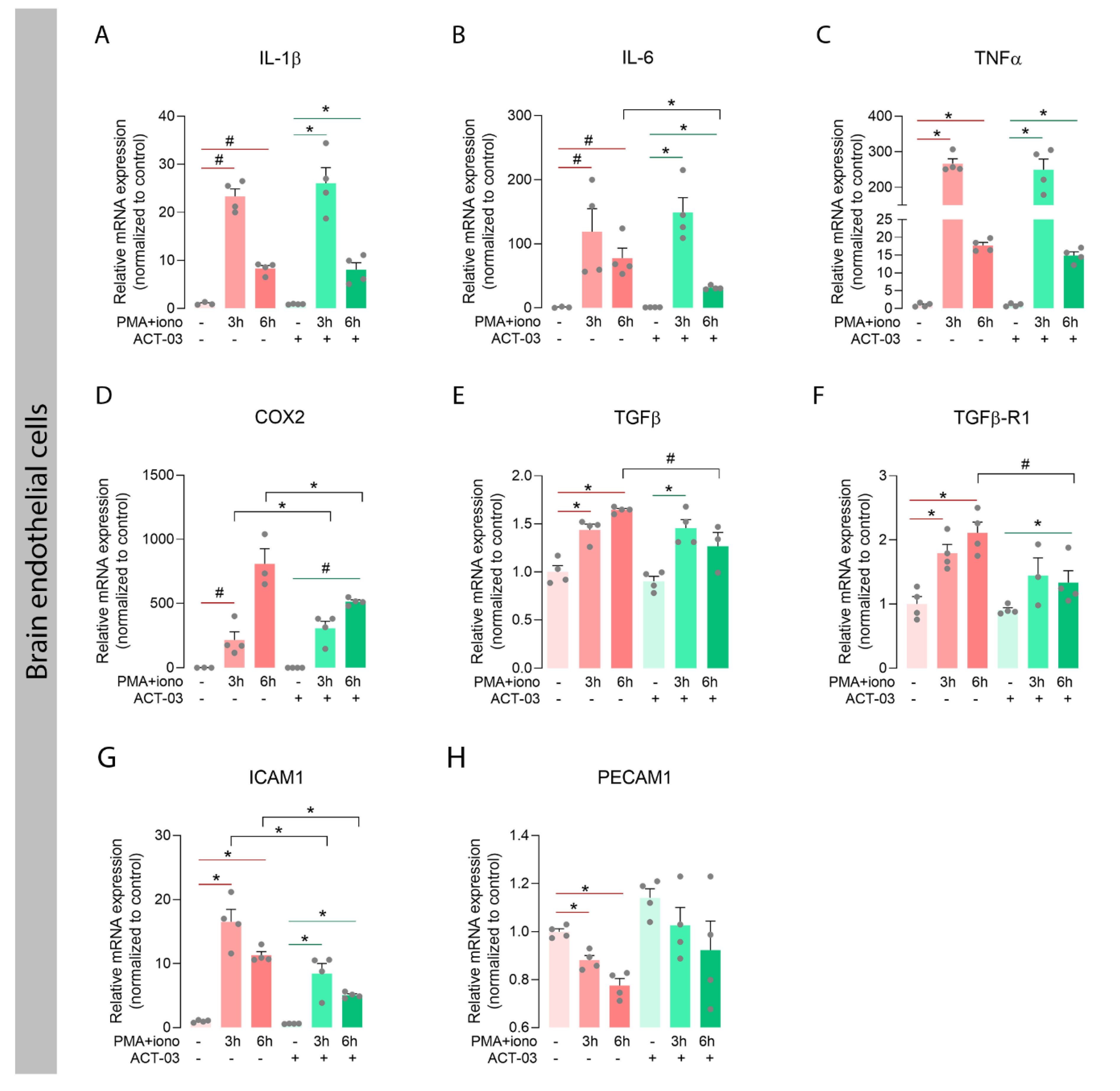 Biomedicines 10 02117 g005