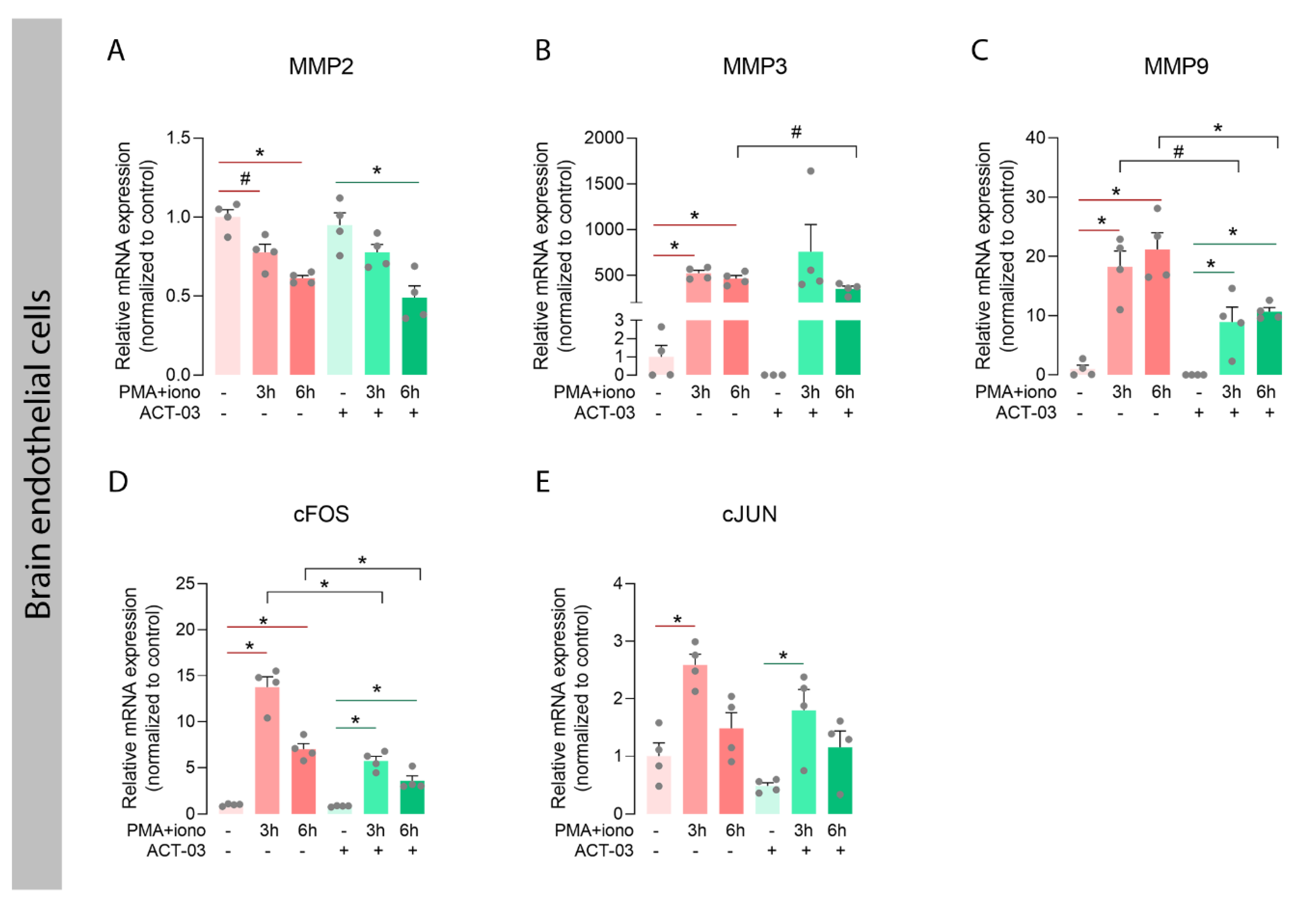 Biomedicines 10 02117 g007