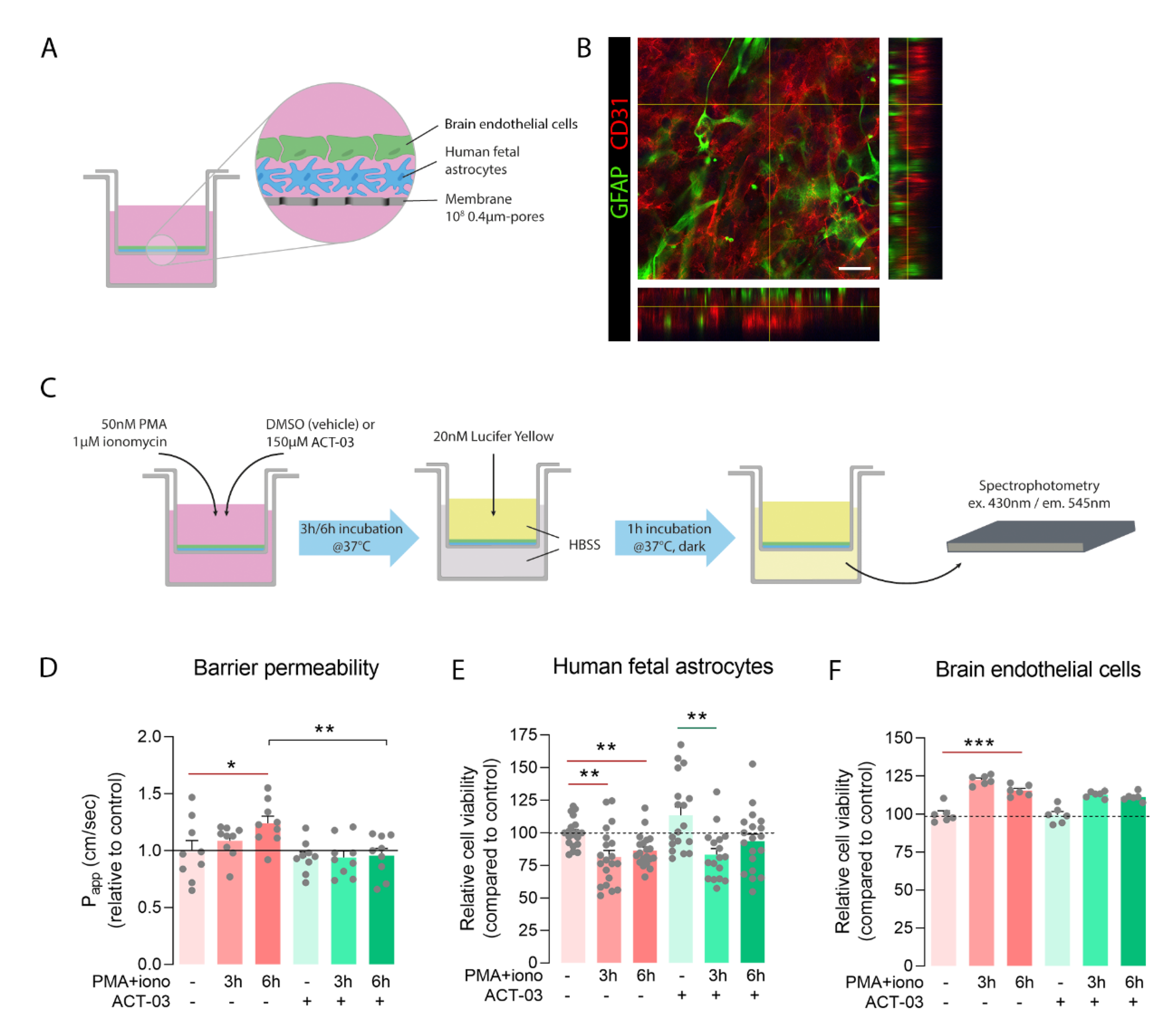 Biomedicines 10 02117 g008