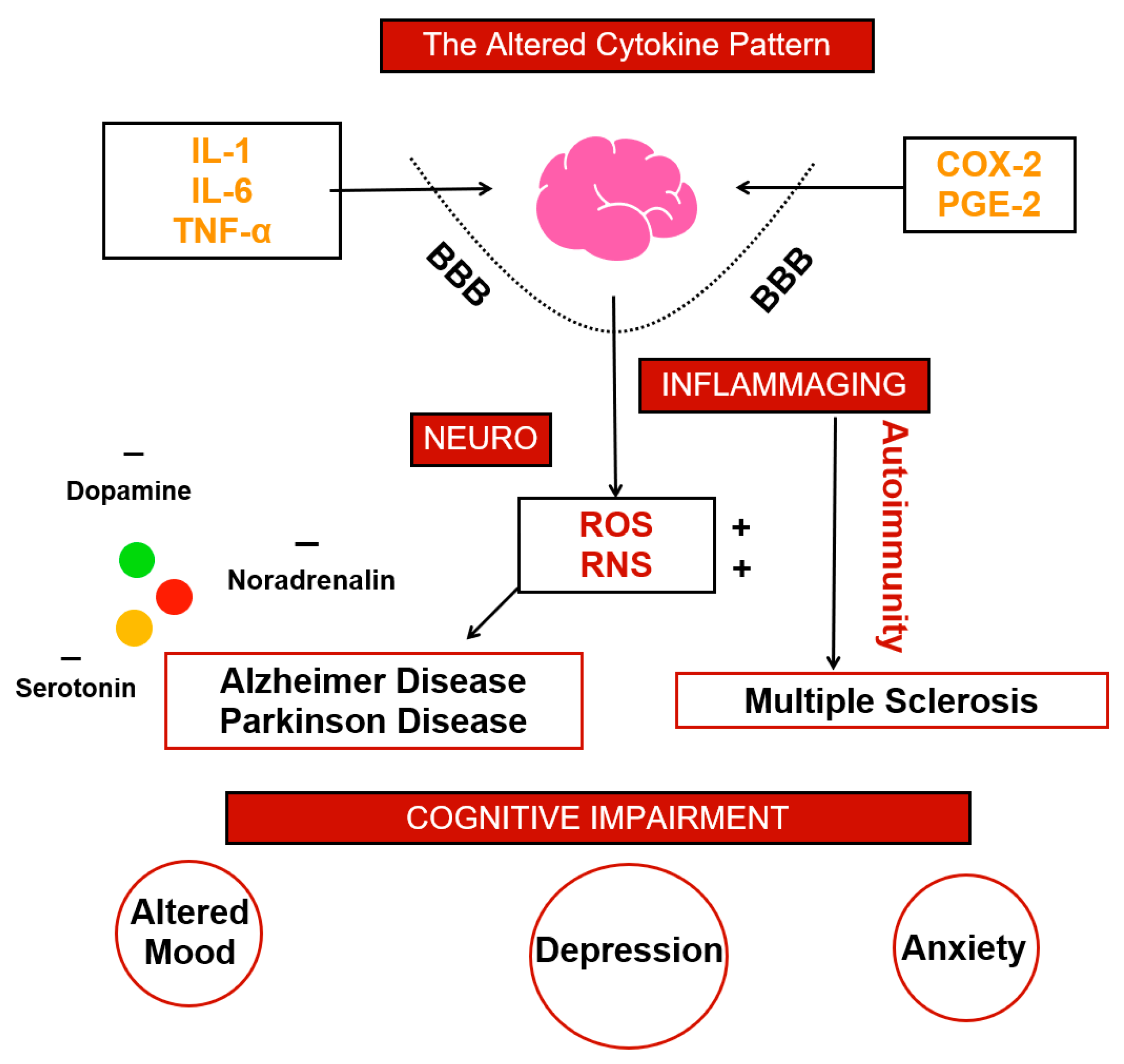 Biomedicines 10 02133 g001